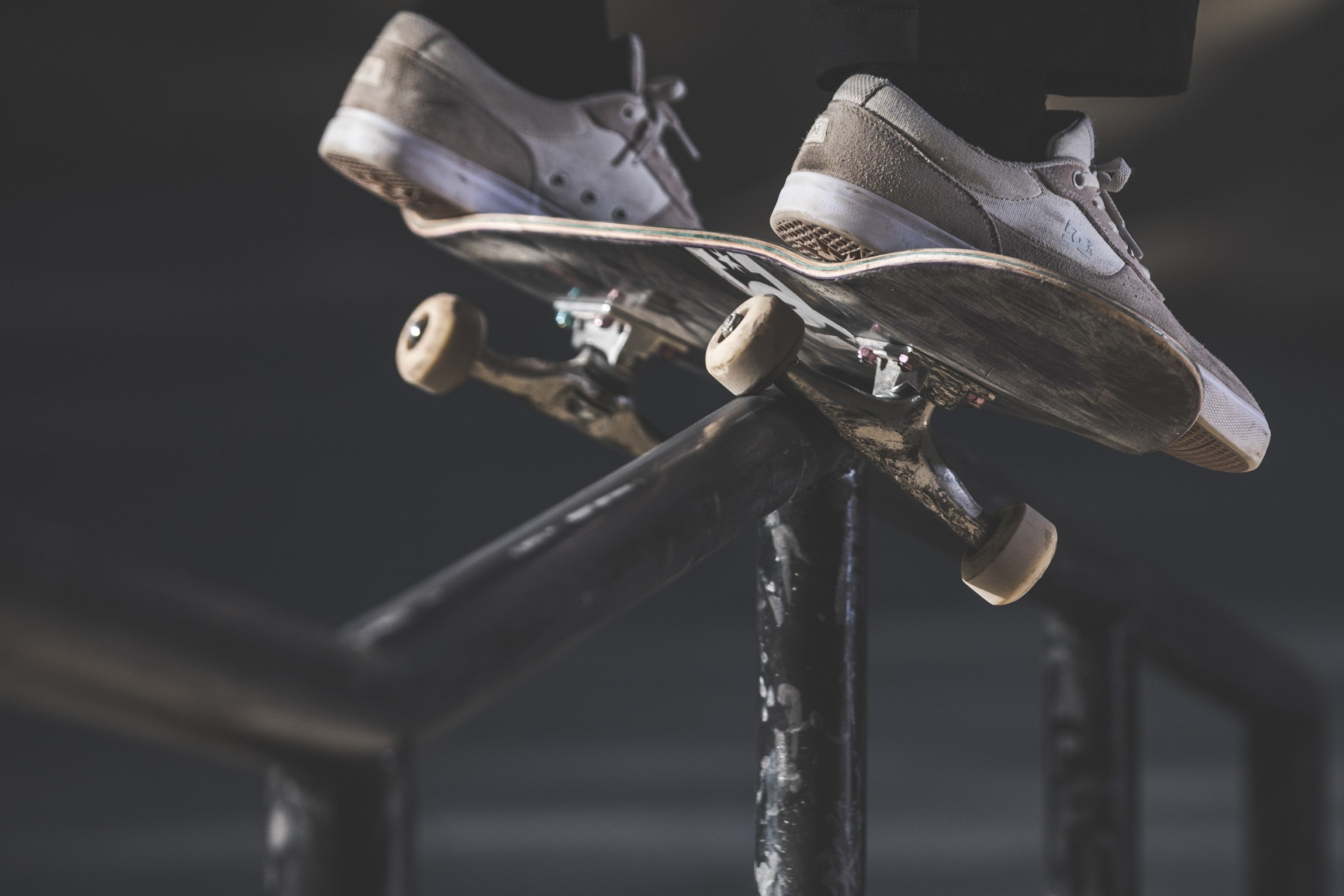 Action / Highlights. Bivol images