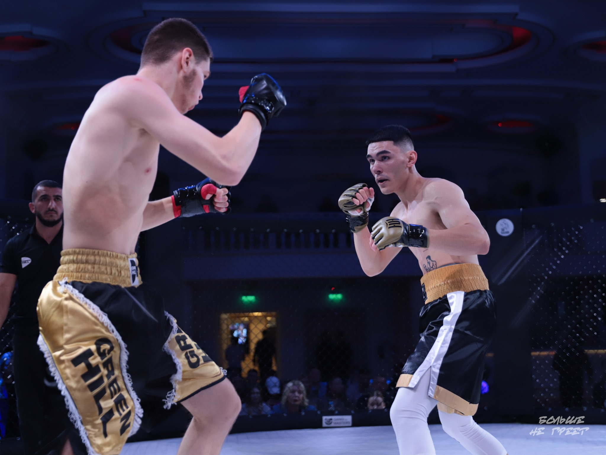 SABR FIGHTING. Больше не греет