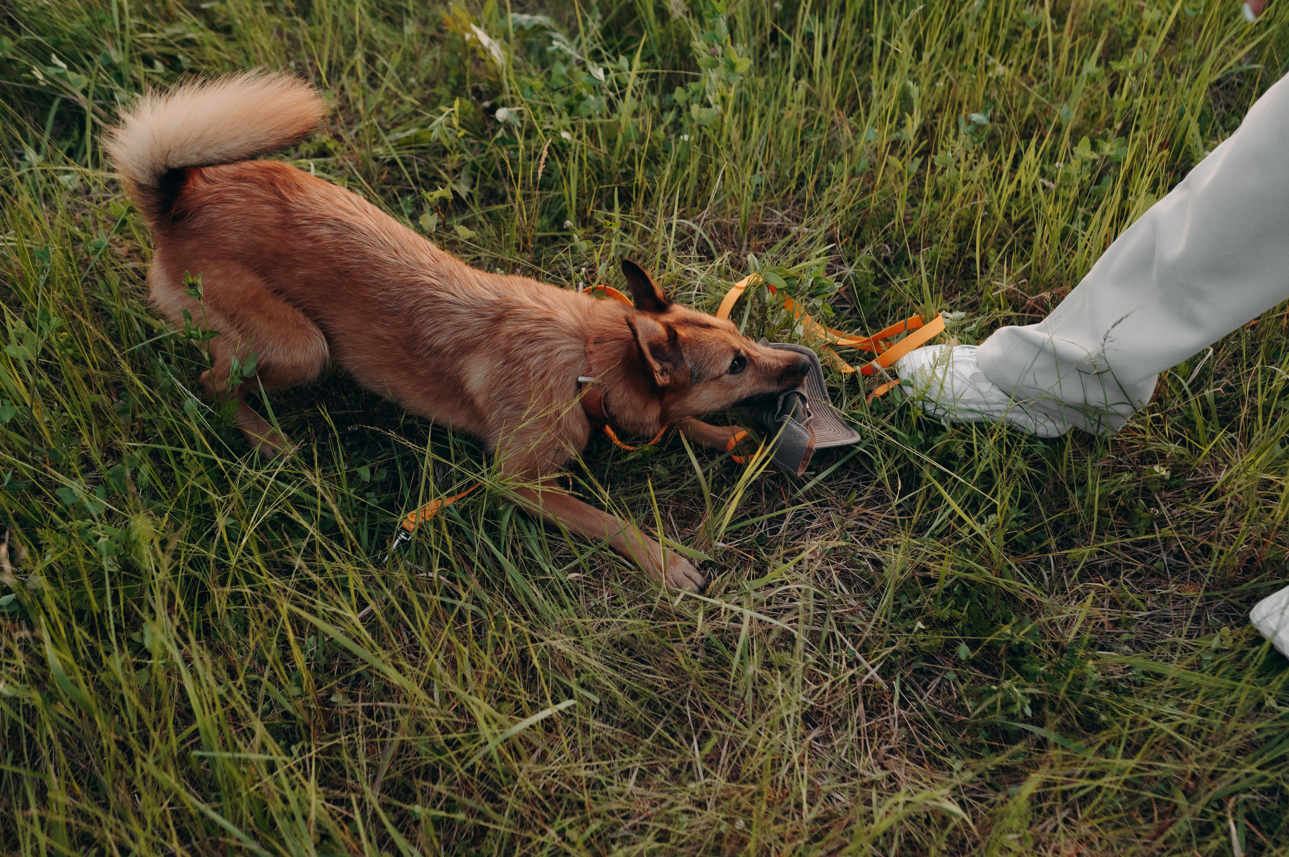 Яна и Санька. Главная