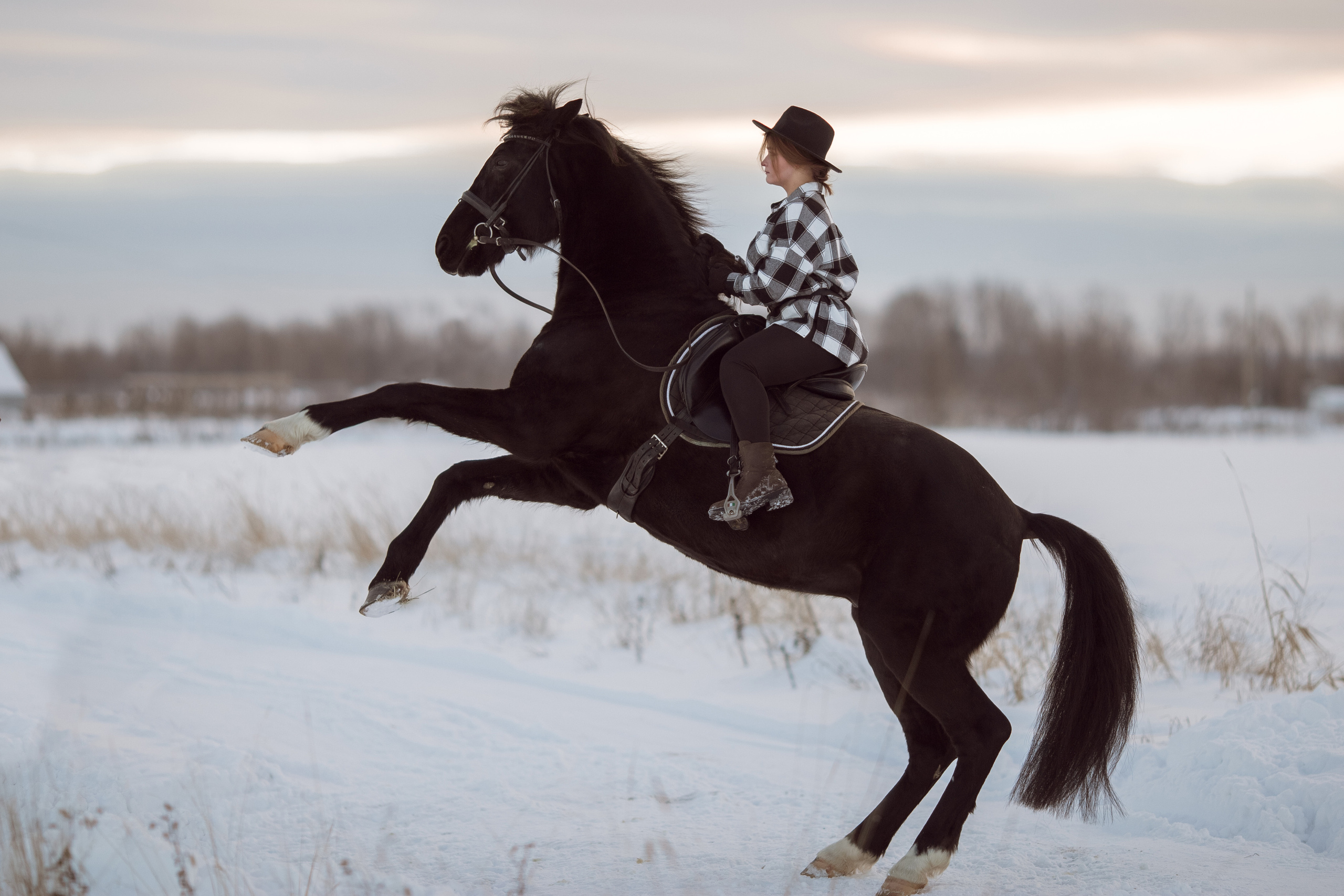 Фотосессия с вороной лошадью зимой