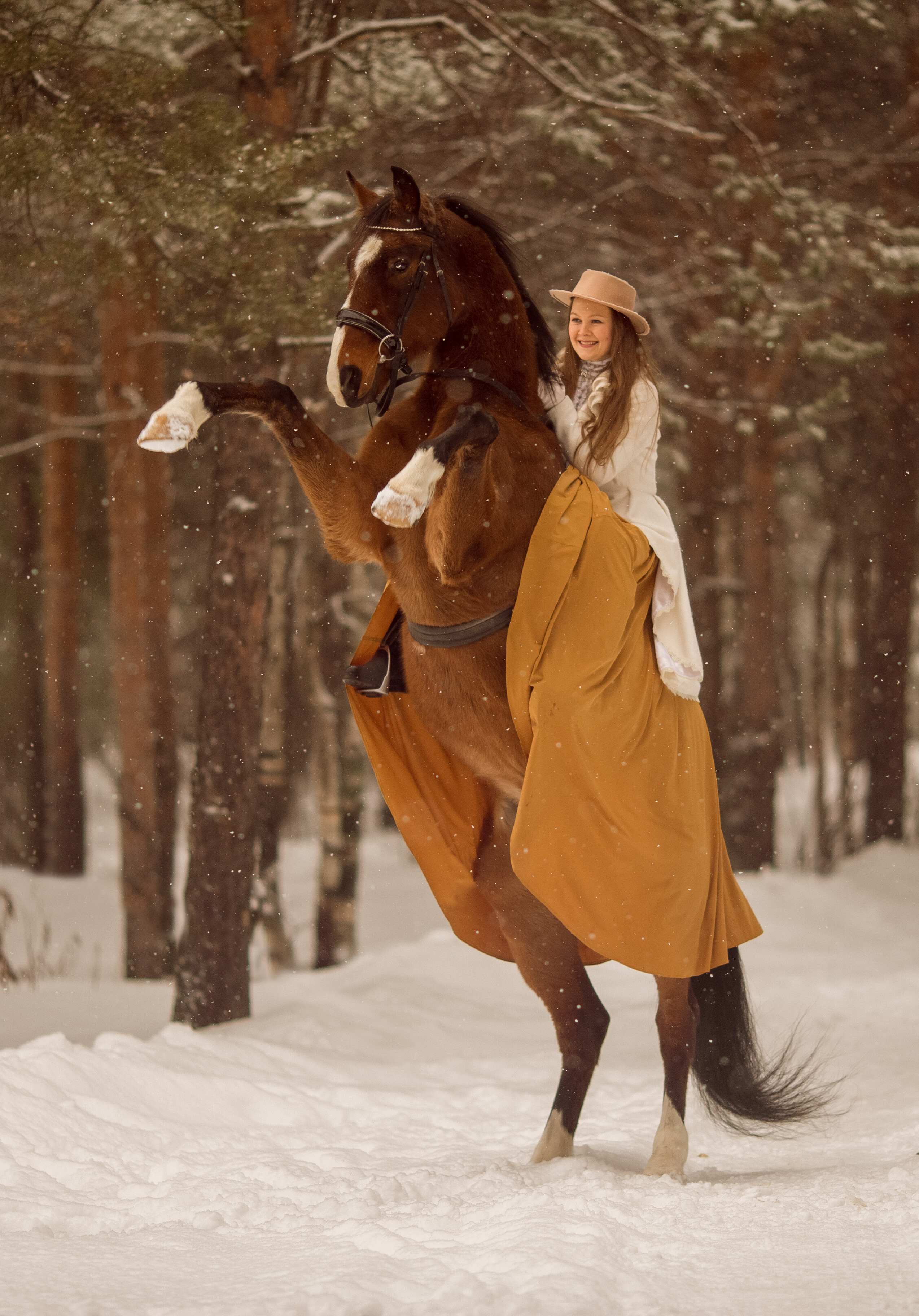 Фотосессия с лошадью и борзой