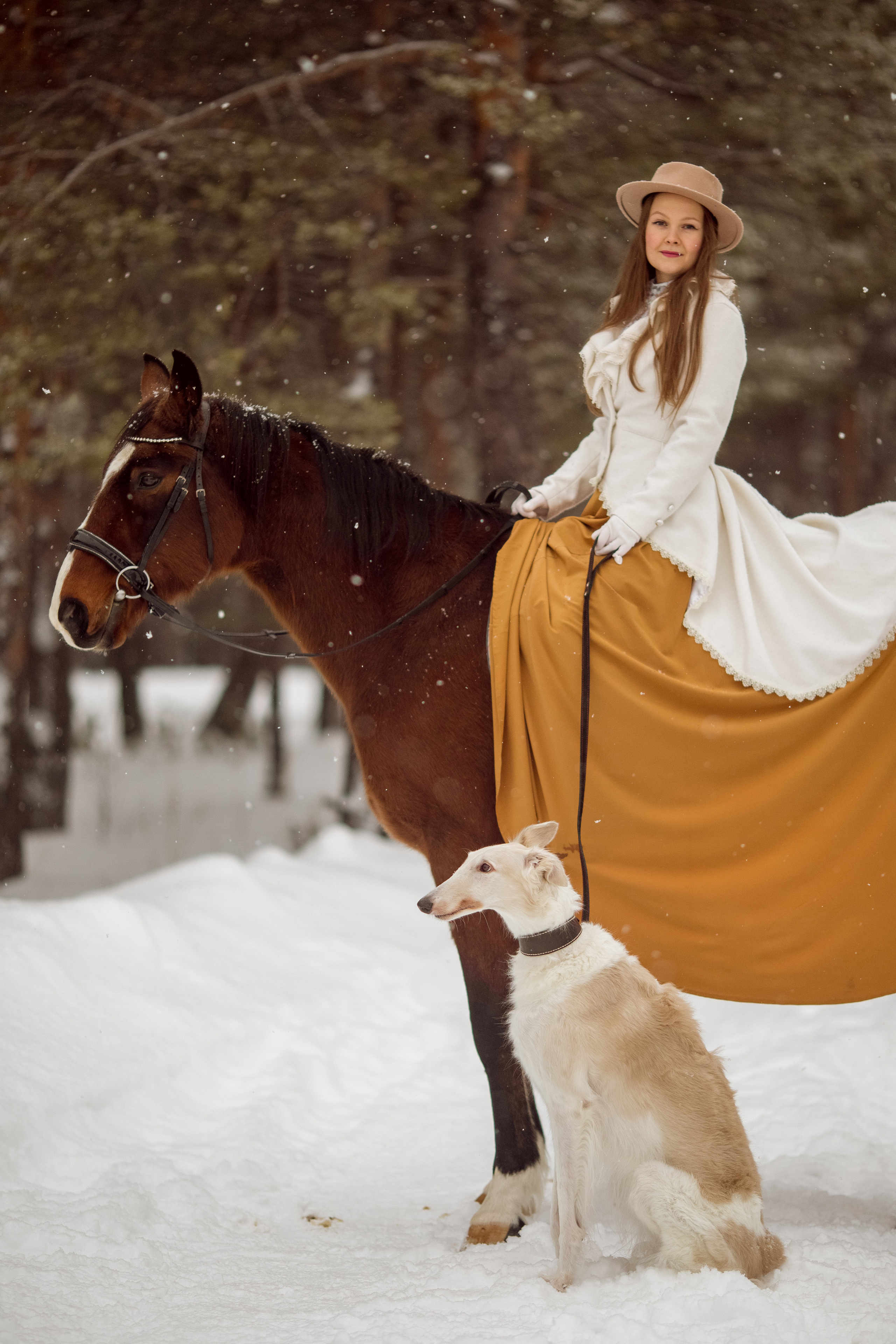 Фотосессия с лошадью и борзой