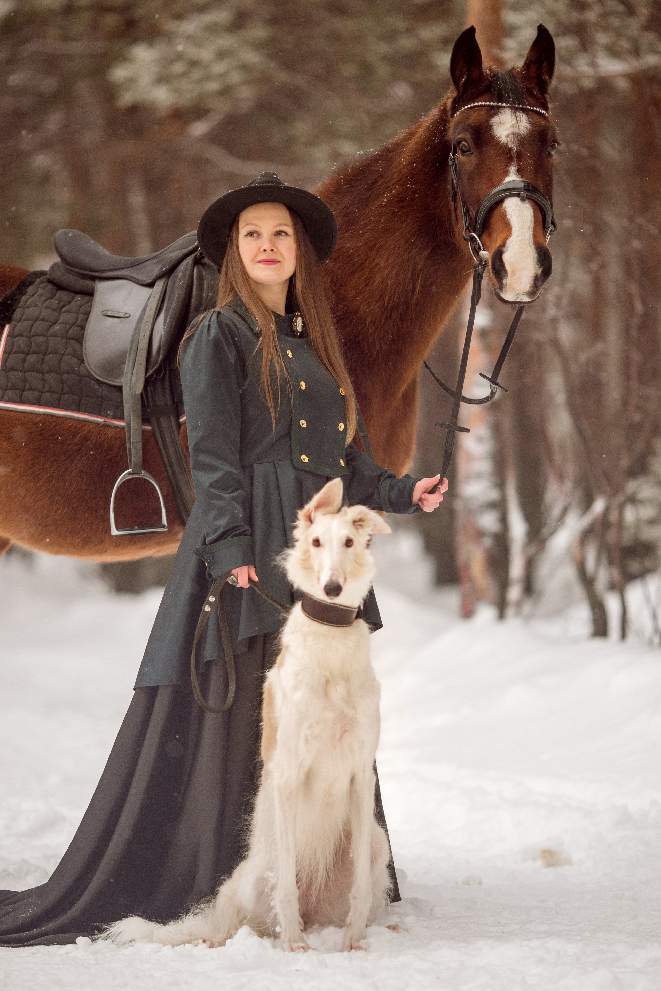 Фотосессия с лошадью и борзой