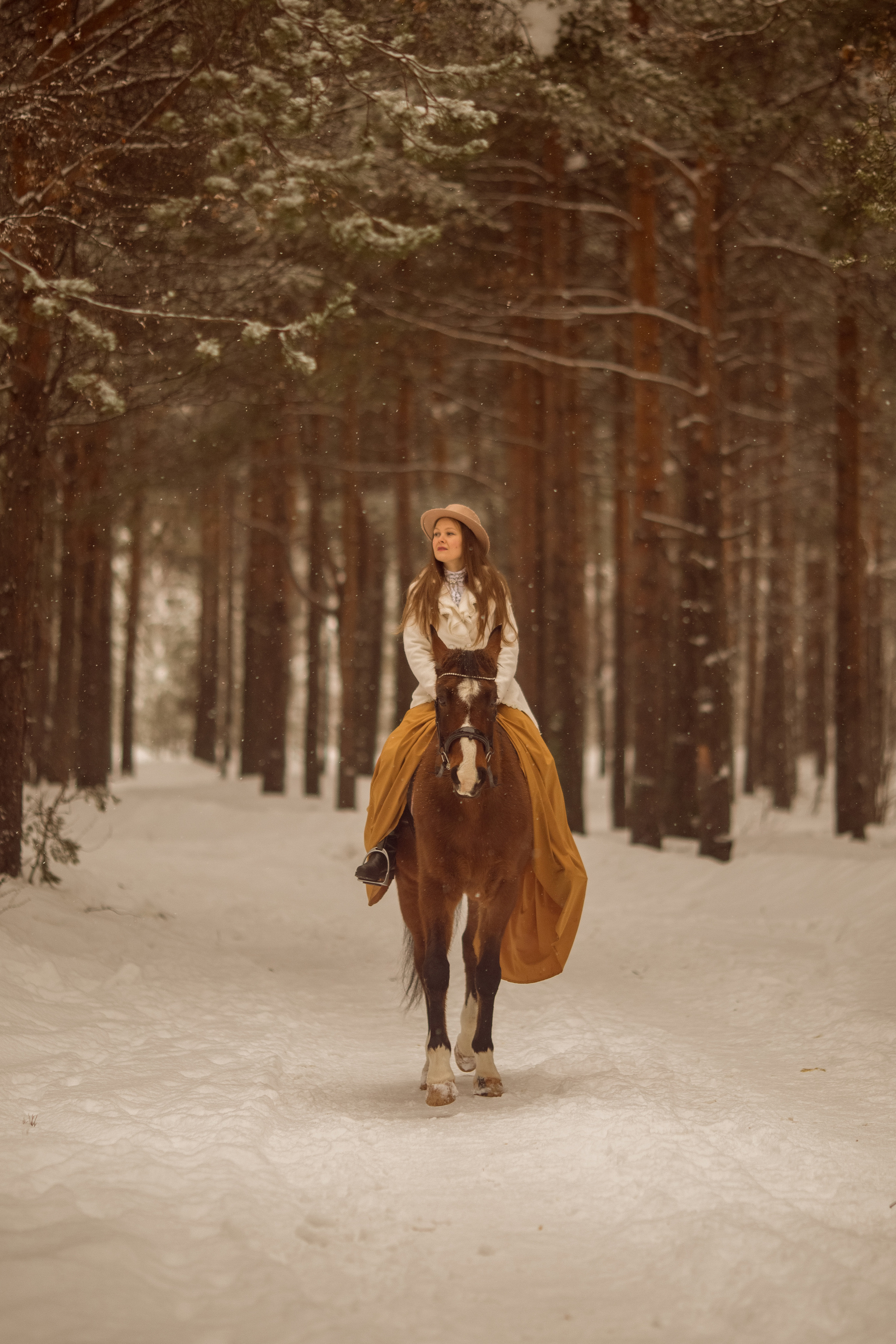 Фотосессия с лошадью и борзой