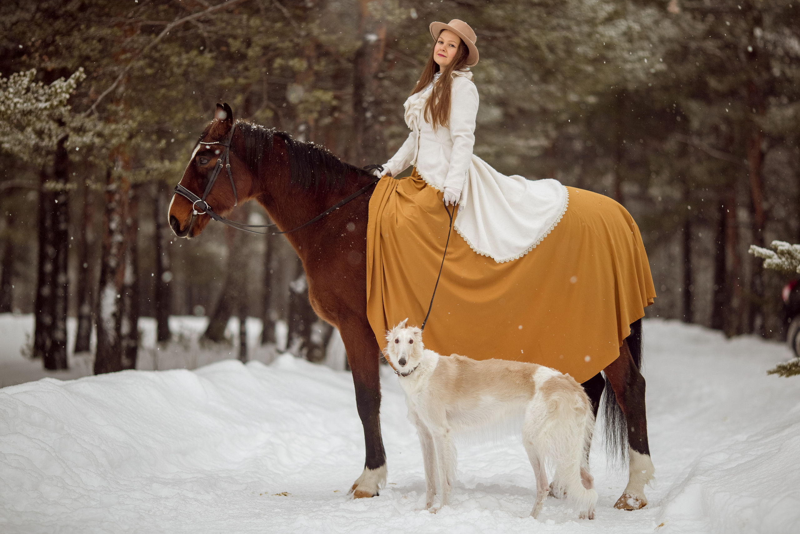 Фотосессия с лошадью и борзой