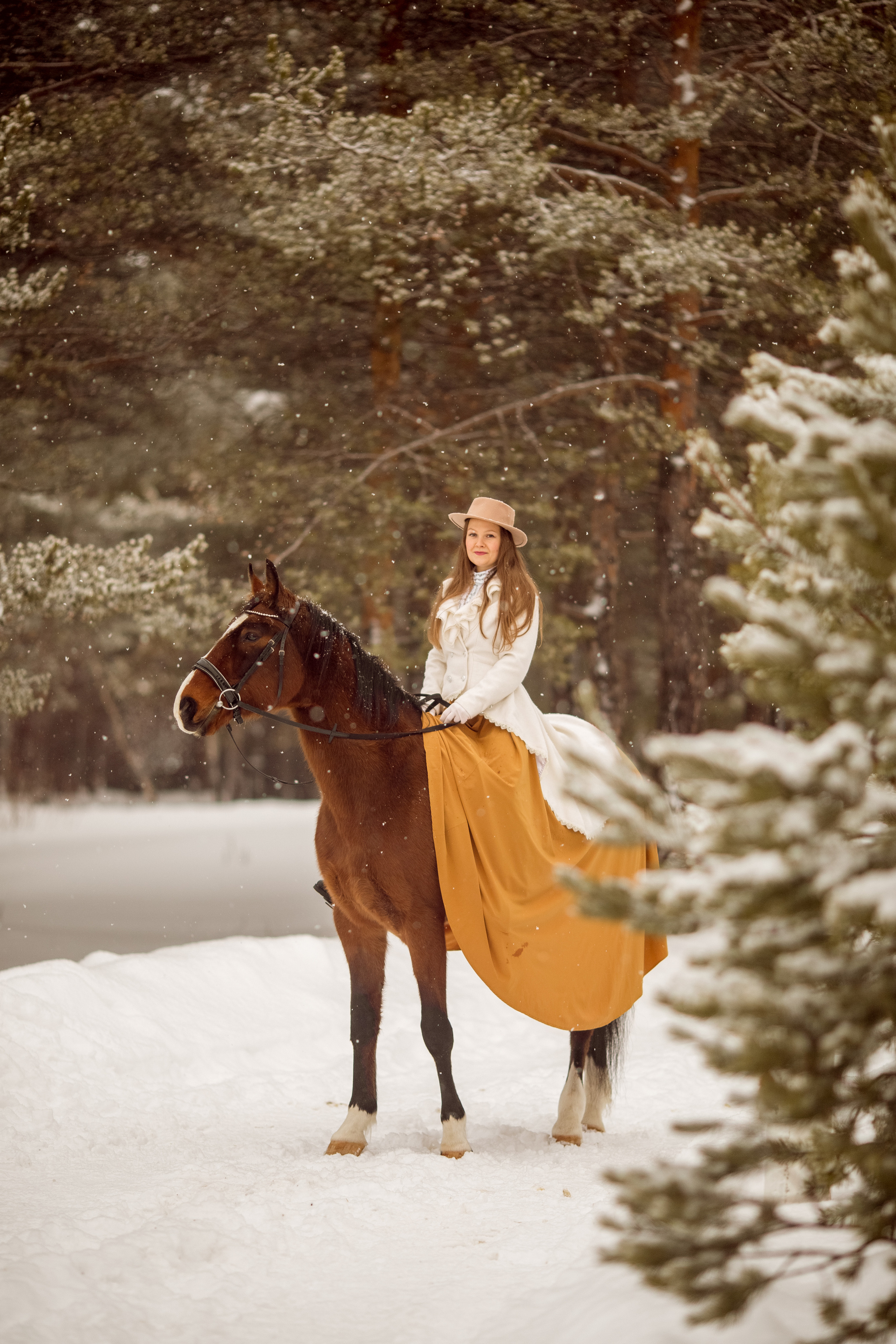 Фотосессия с лошадью и борзой