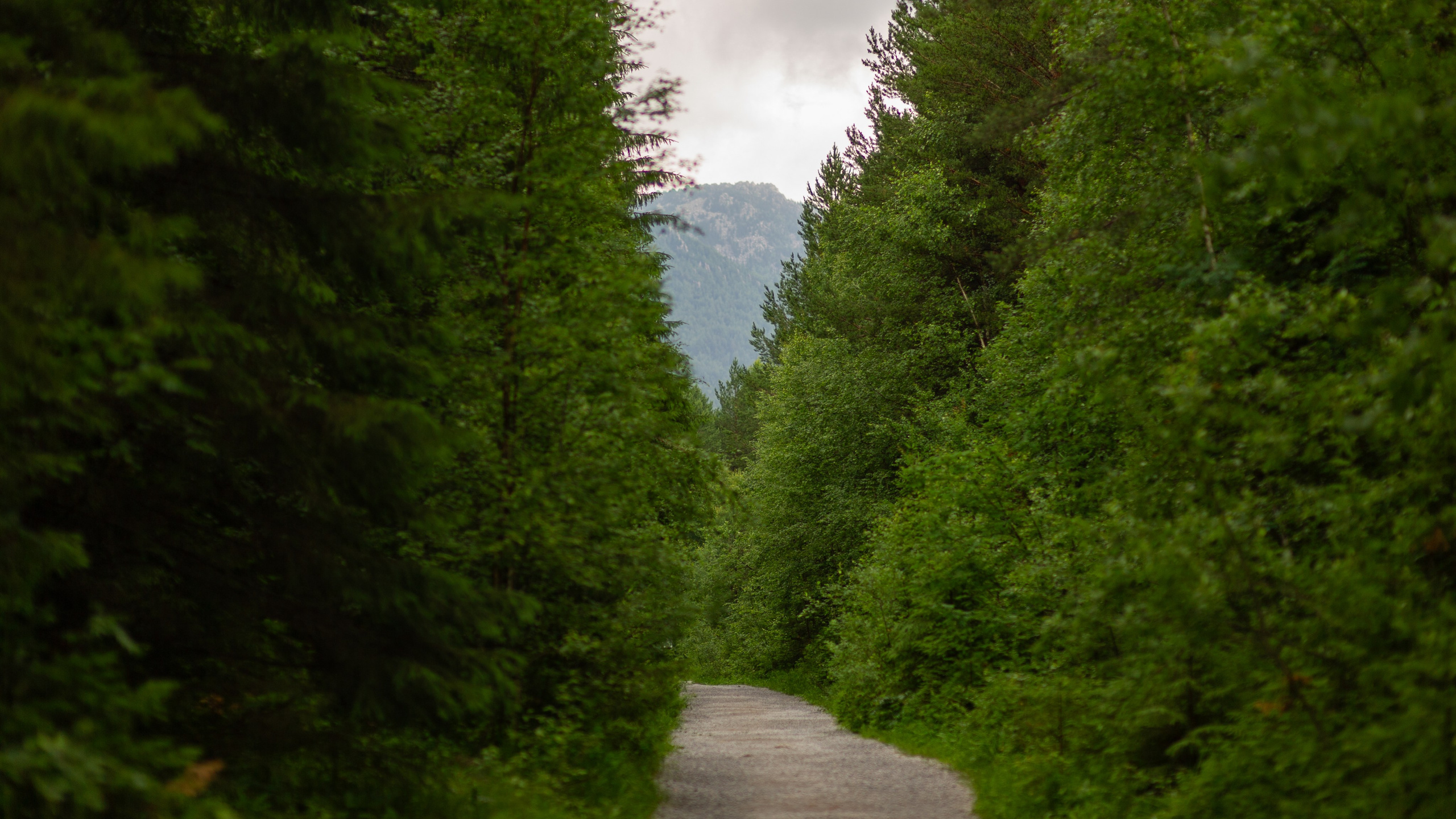 Национальный парк Таганай. Фотограф Шариков Илья