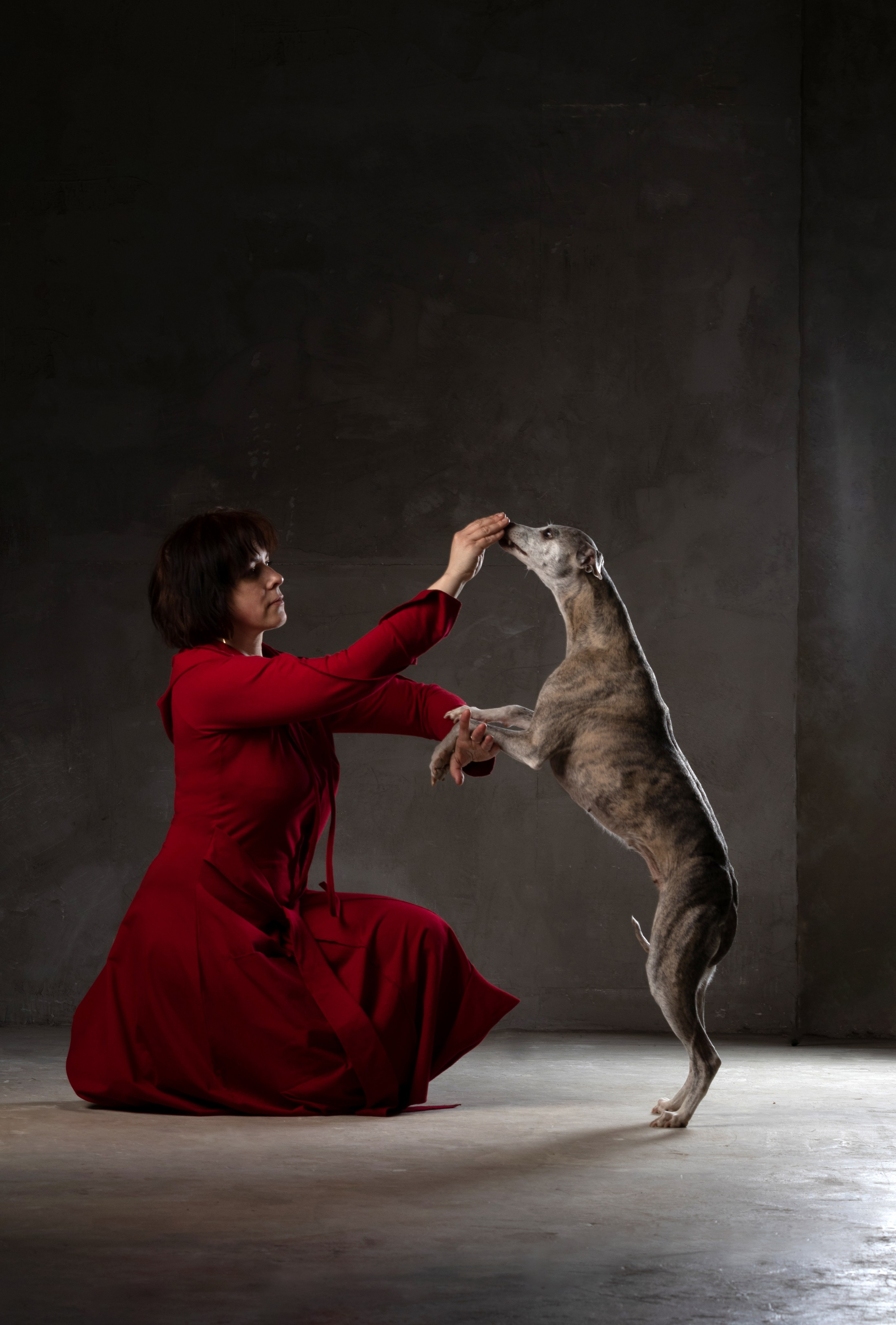 Студийная съемка. Фотограф — анималист в Москве и области Ольга Петракова