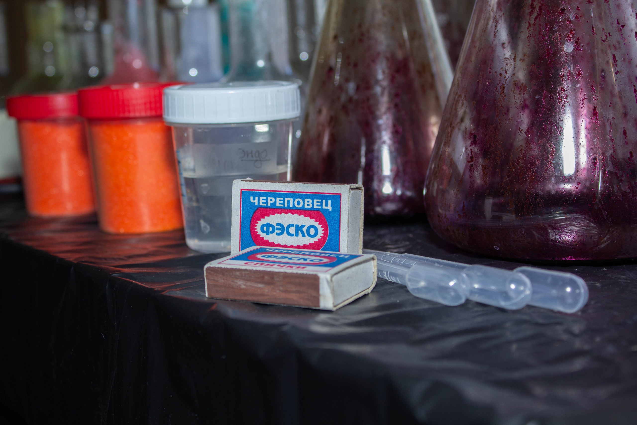 Ненаучка 2024. Карпогоры, Санкт-Петербург