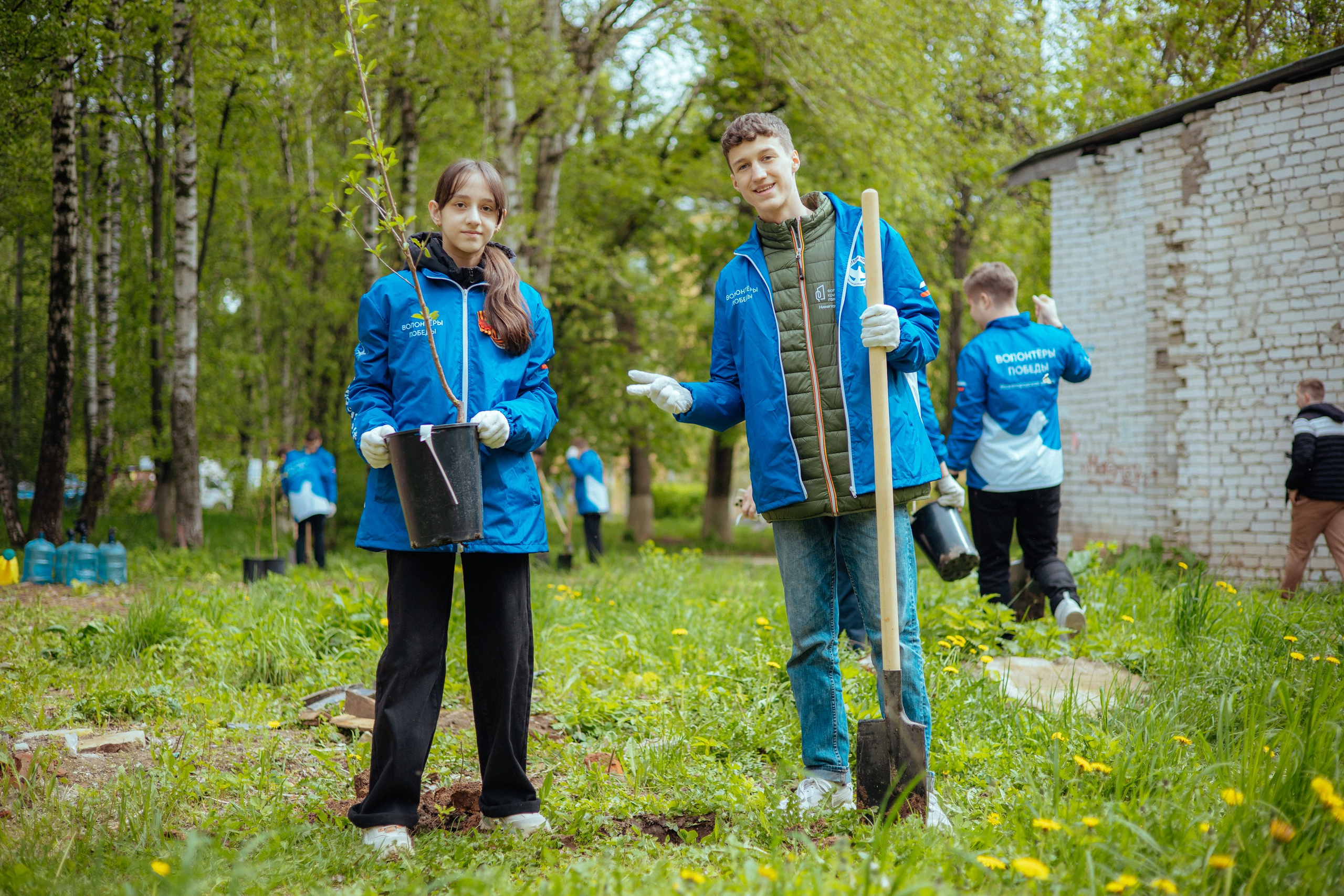 Сад памяти | волонтеры победы