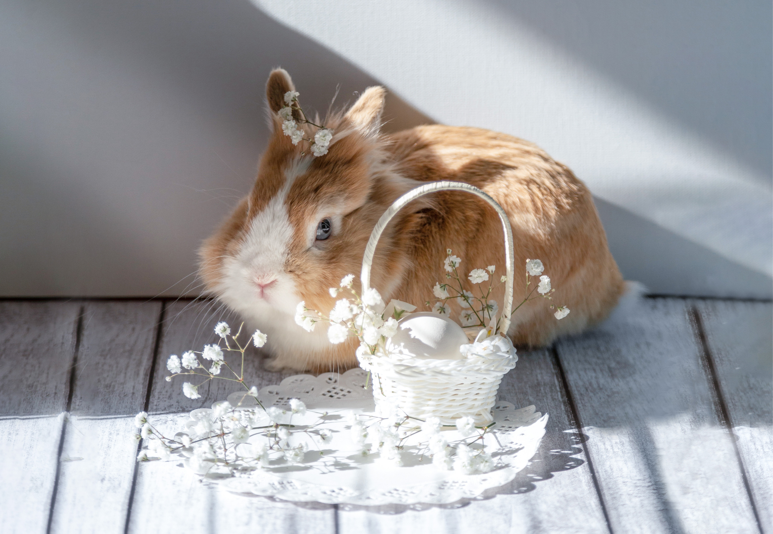 Фотограф в Минске Екатерина Тузова