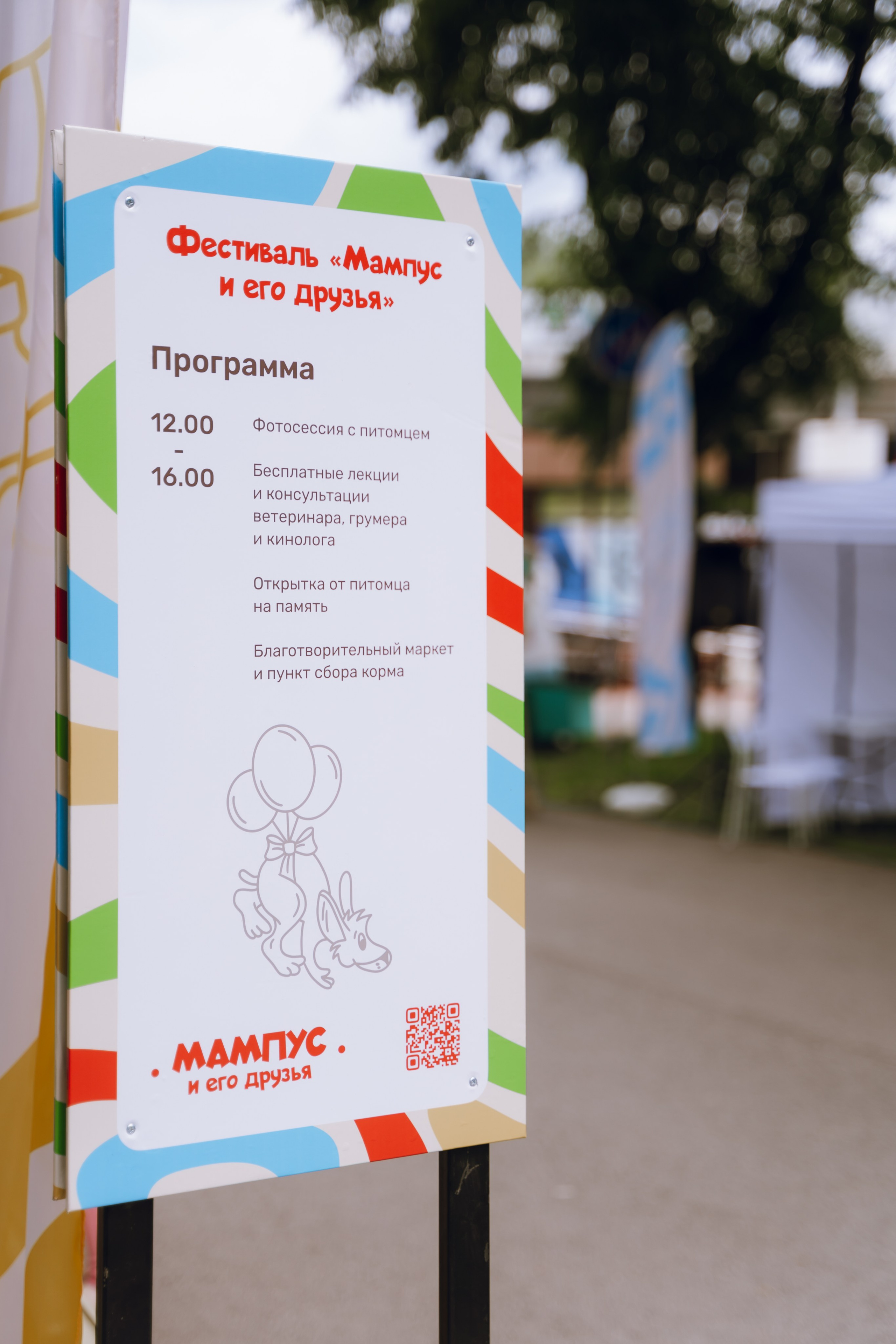 Площадка фестиваля «Мампус и его друзья» в Лесопарке 2025. Фотограф Надежда Погребняк | Рязань | Москва