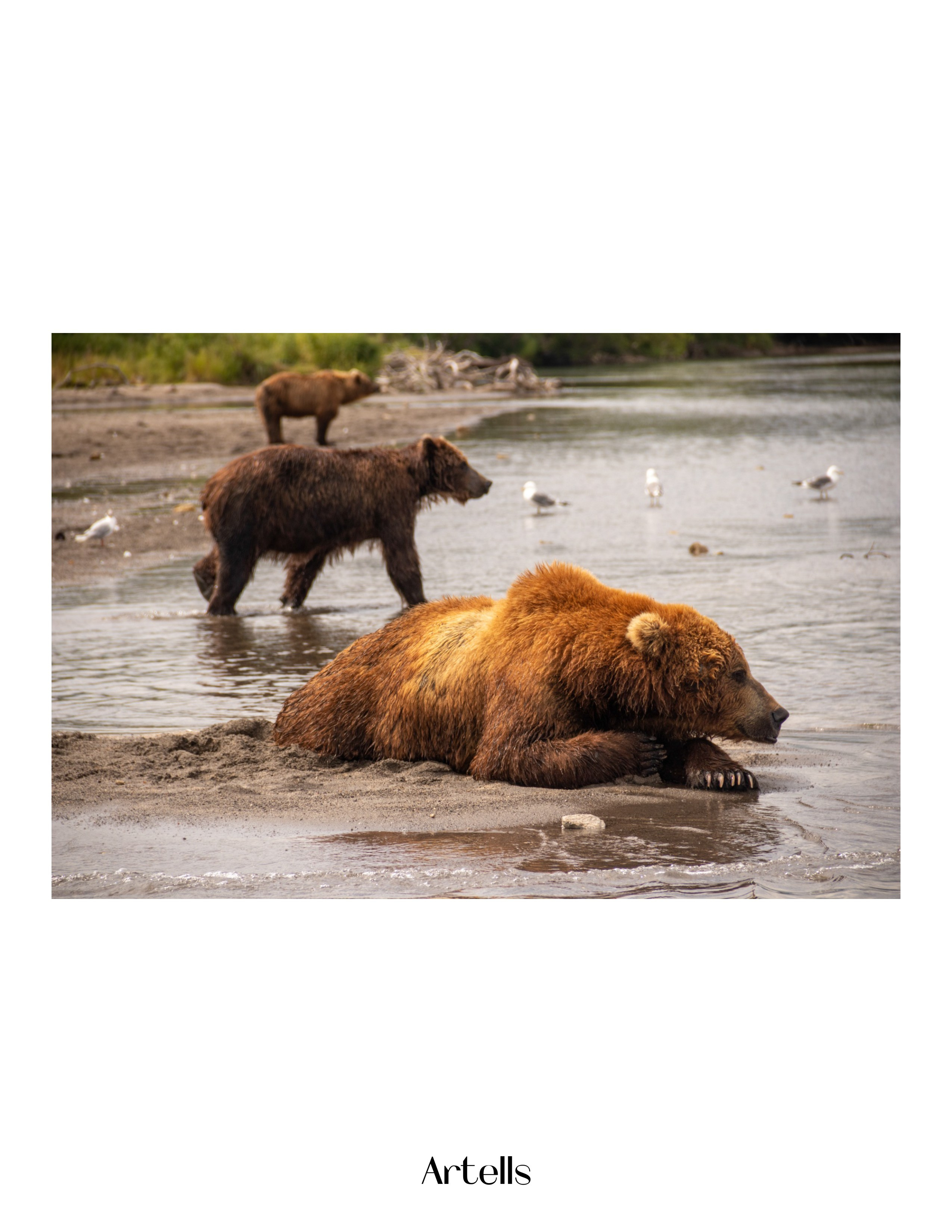 Журнал Artells. Kamchatka peninsula. Наталия Фролова. Фотограф. Москва