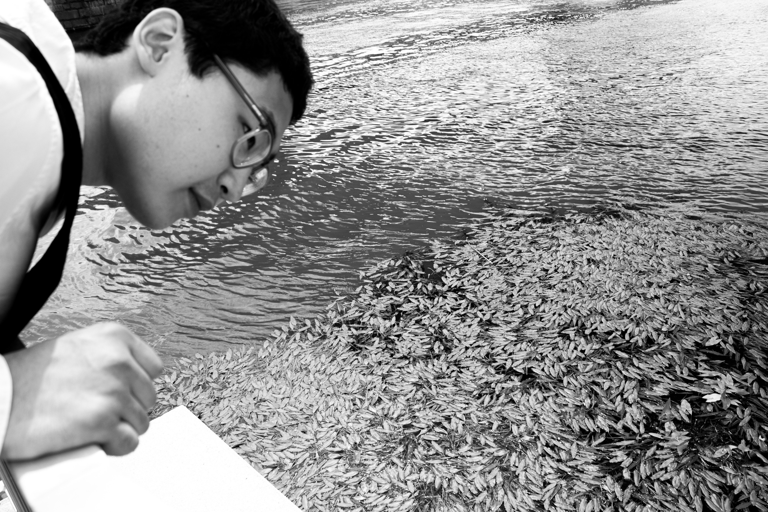 Художественный портрет BW. Главная