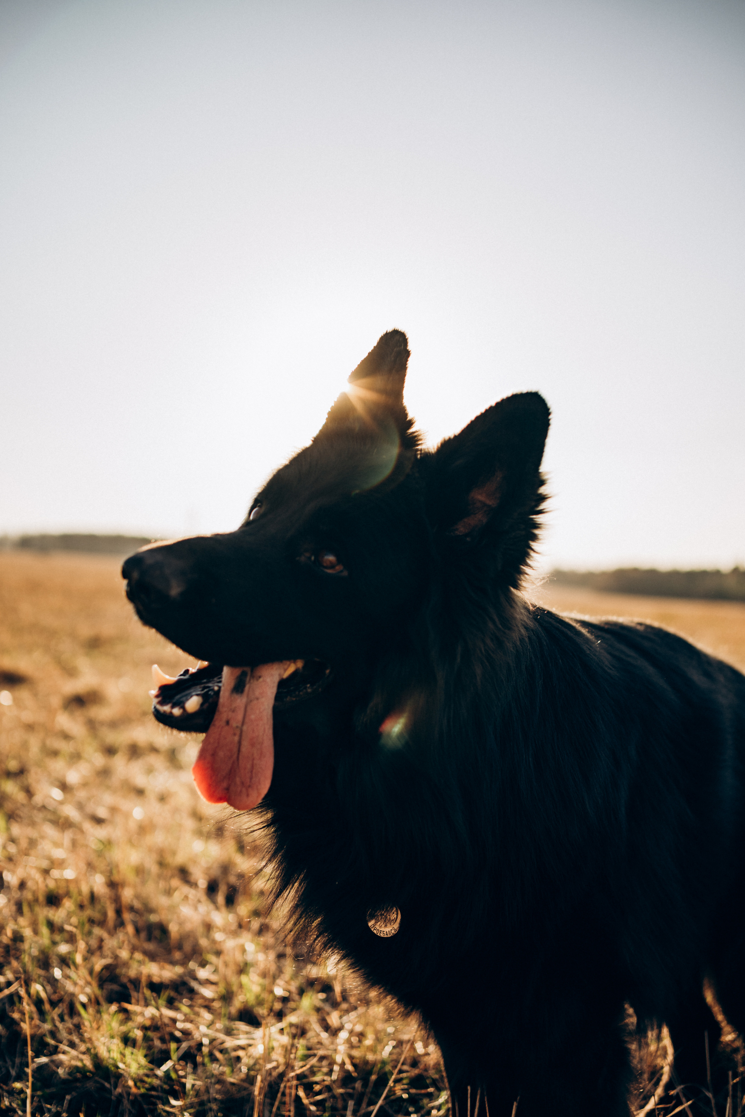 Кай. Фотограф-анималист Анастасия Большакова