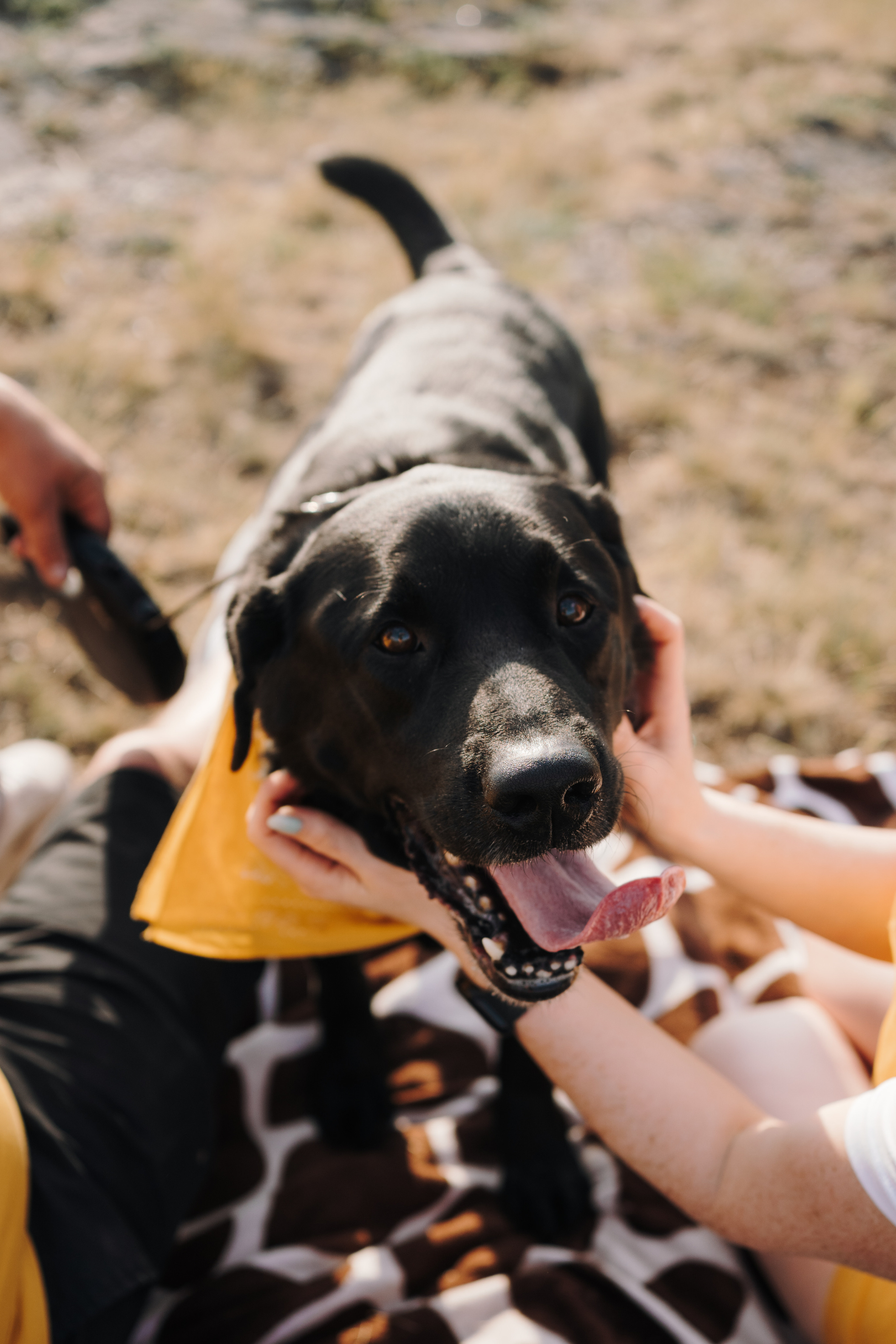 Сева. Фотограф-анималист Анастасия Большакова