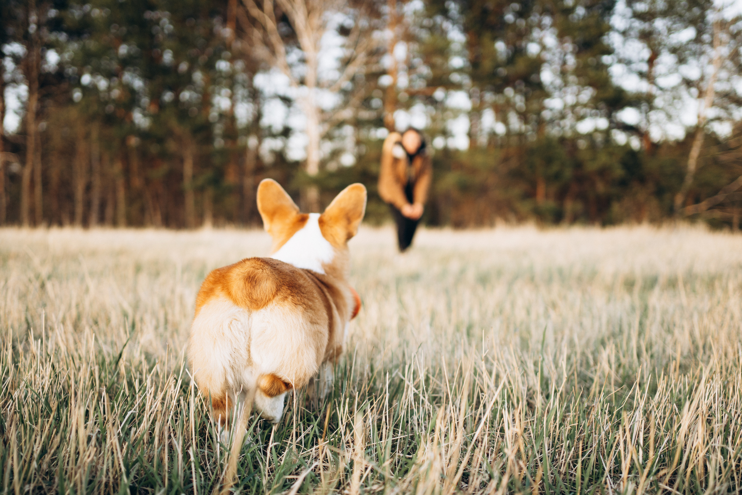 Тако. Фотограф-анималист Анастасия Большакова