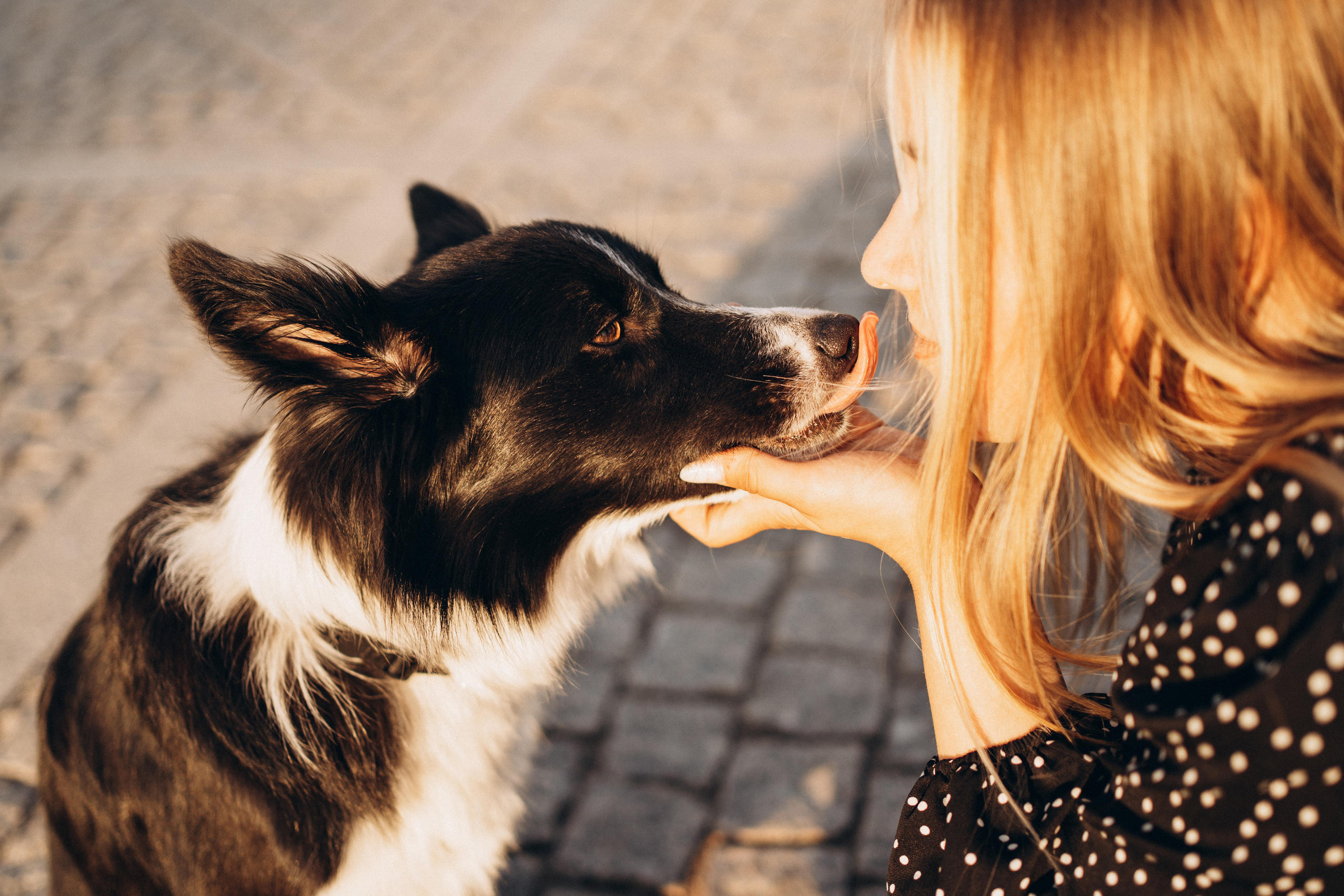 Ривия. Фотограф-анималист Анастасия Большакова