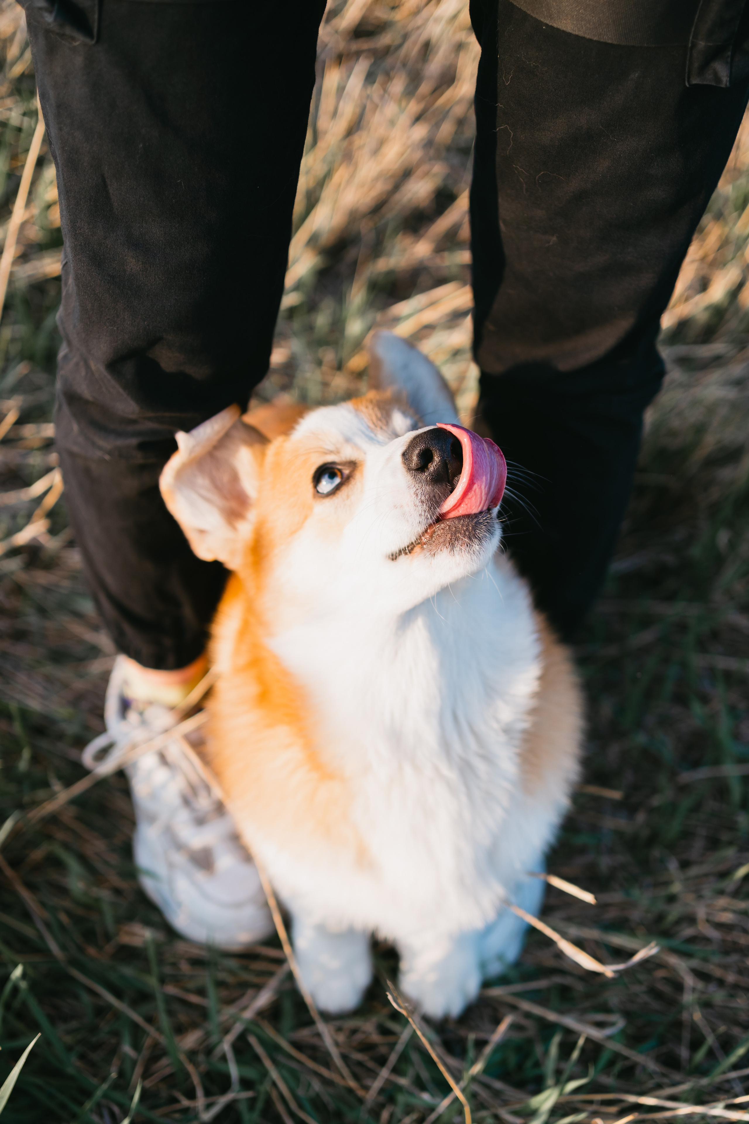 Тако. Фотограф-анималист Анастасия Большакова