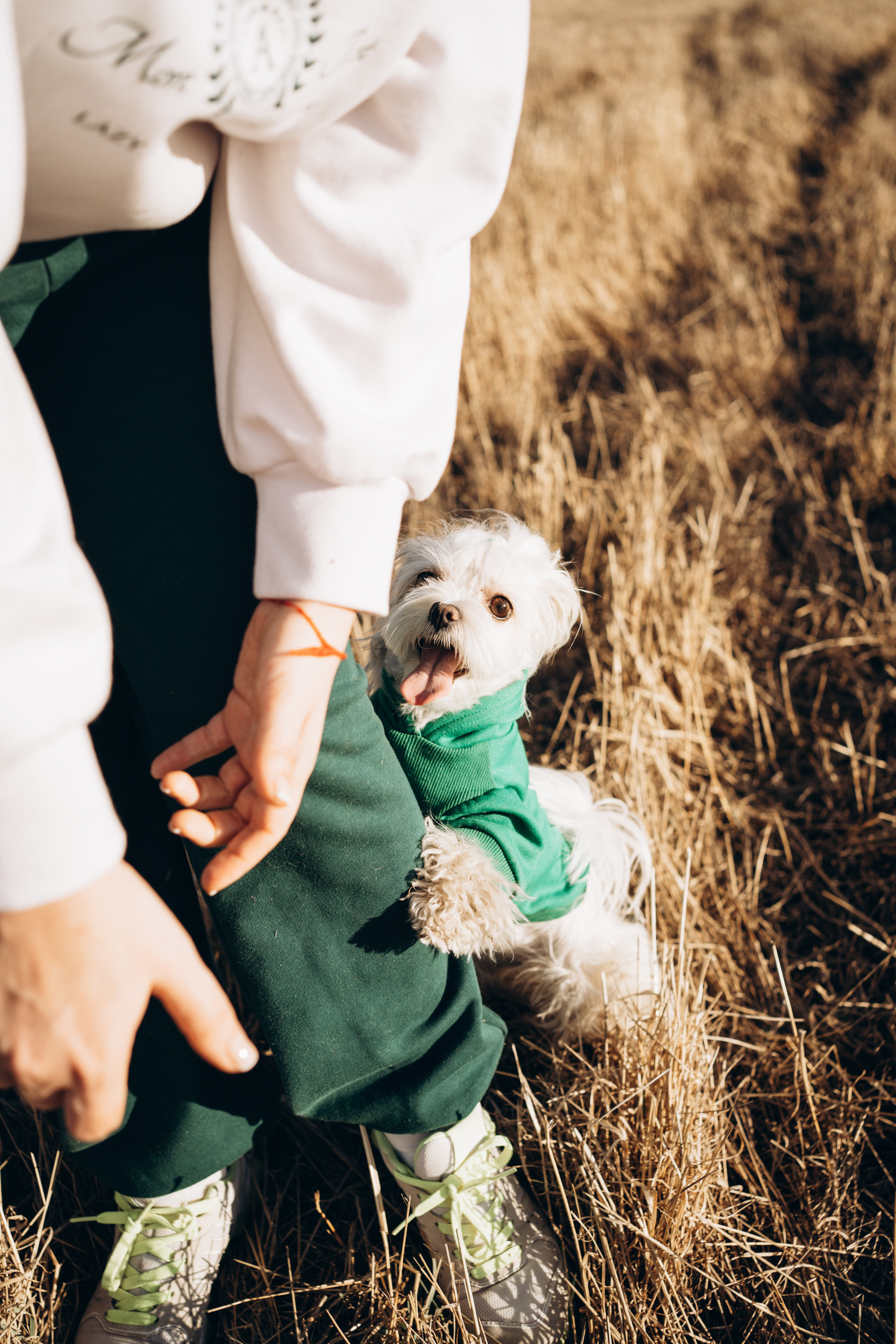 Лиза. Фотограф-анималист Анастасия Большакова
