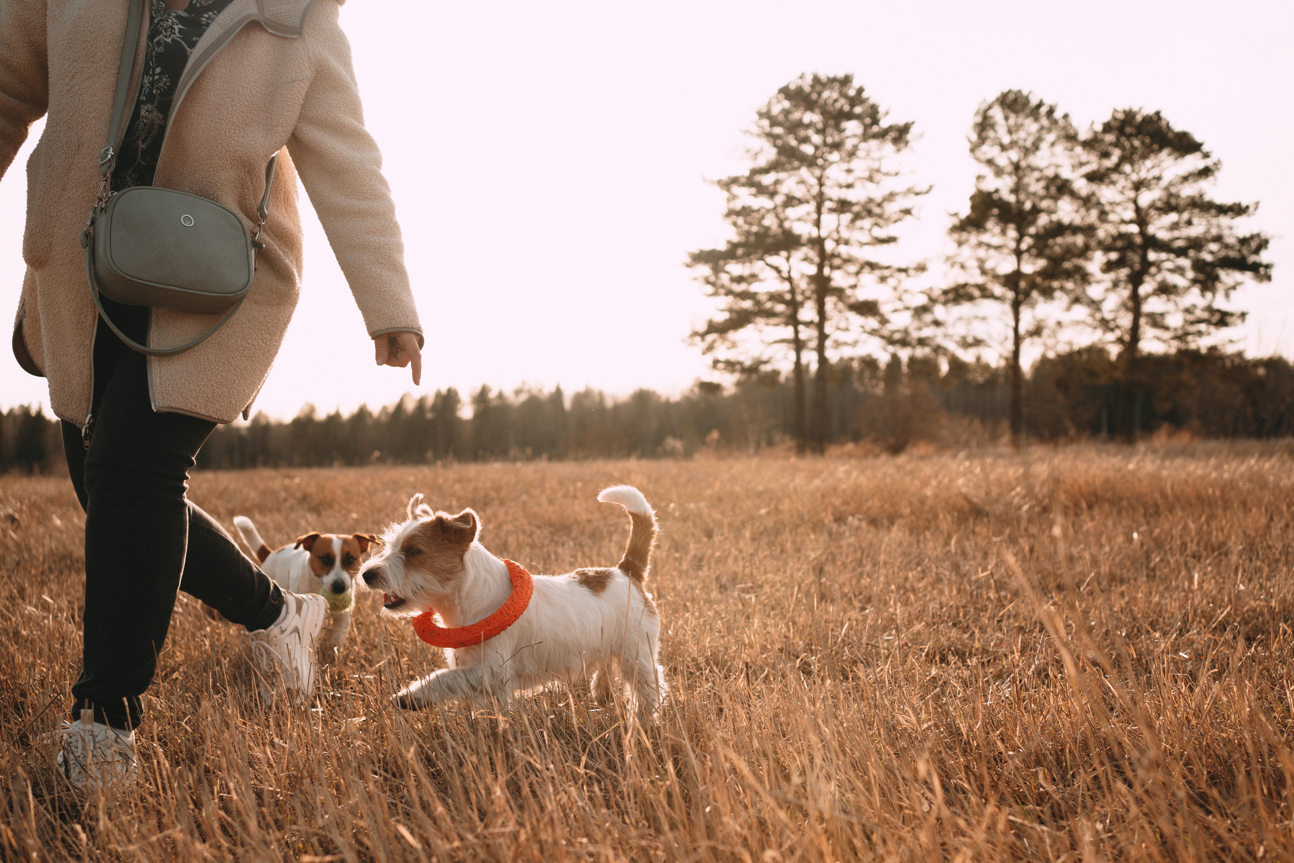 Арти и Тедди. Фотограф-анималист Анастасия Большакова