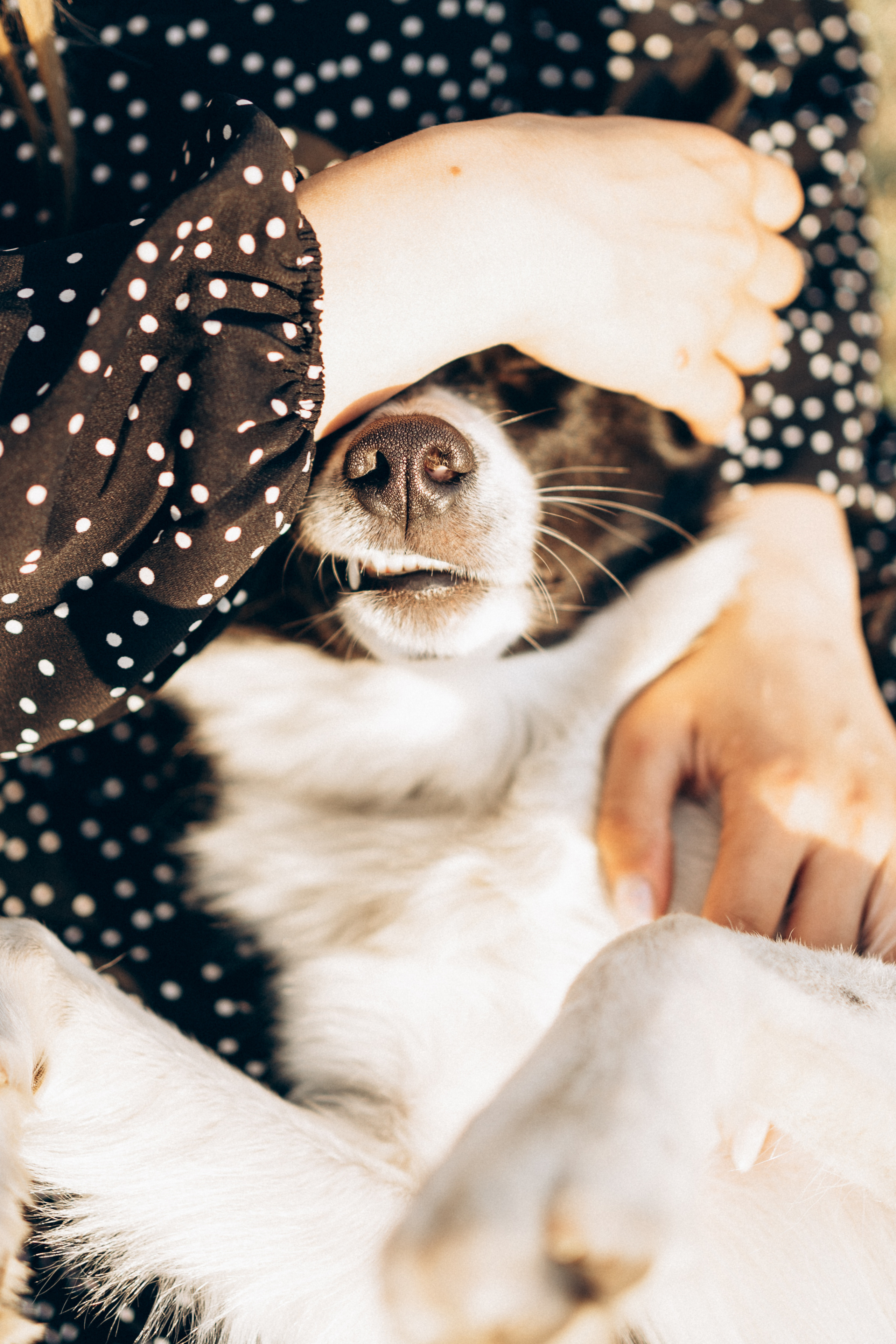 Ривия. Фотограф-анималист Анастасия Большакова