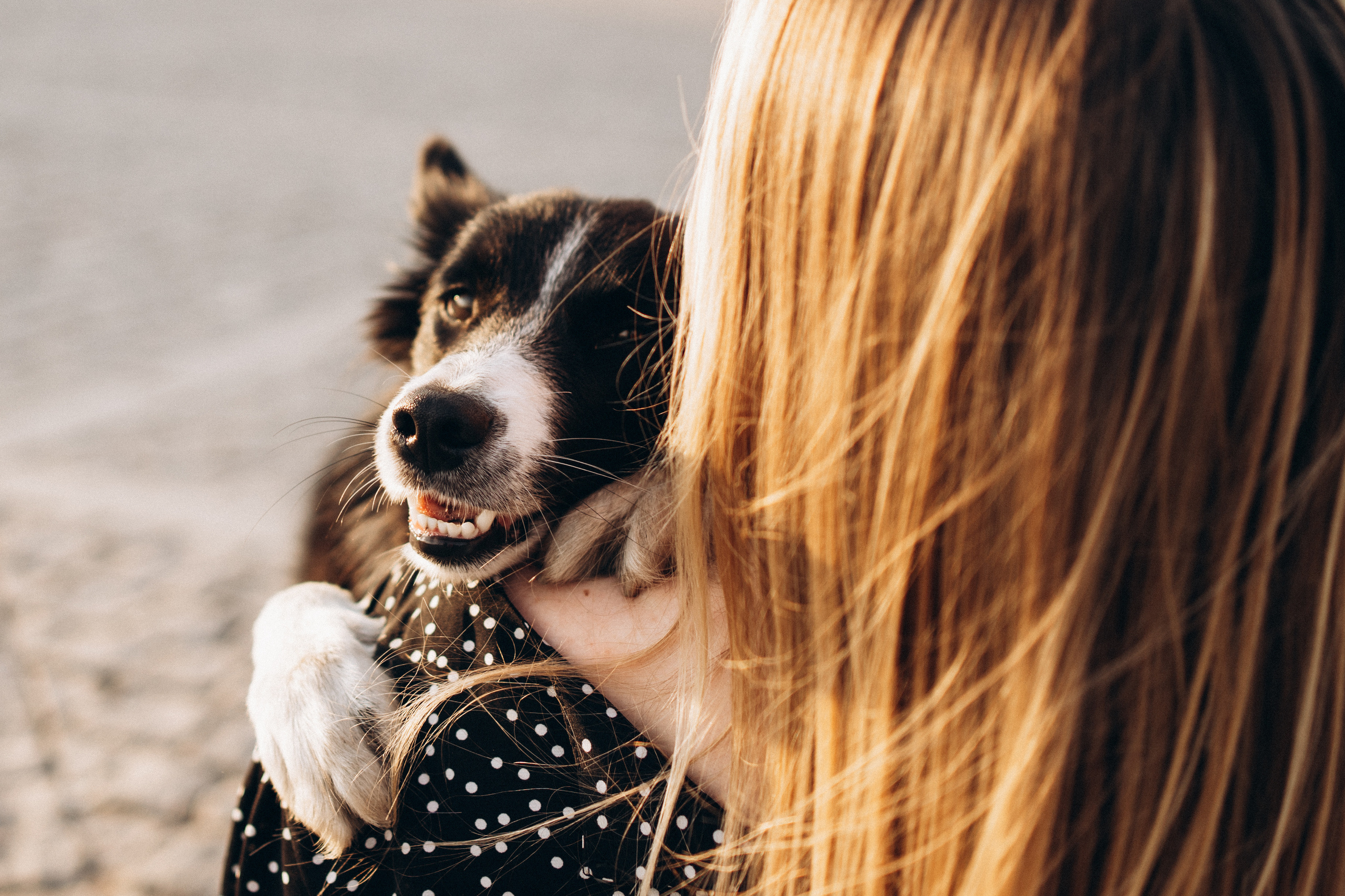 Ривия. Фотограф-анималист Анастасия Большакова