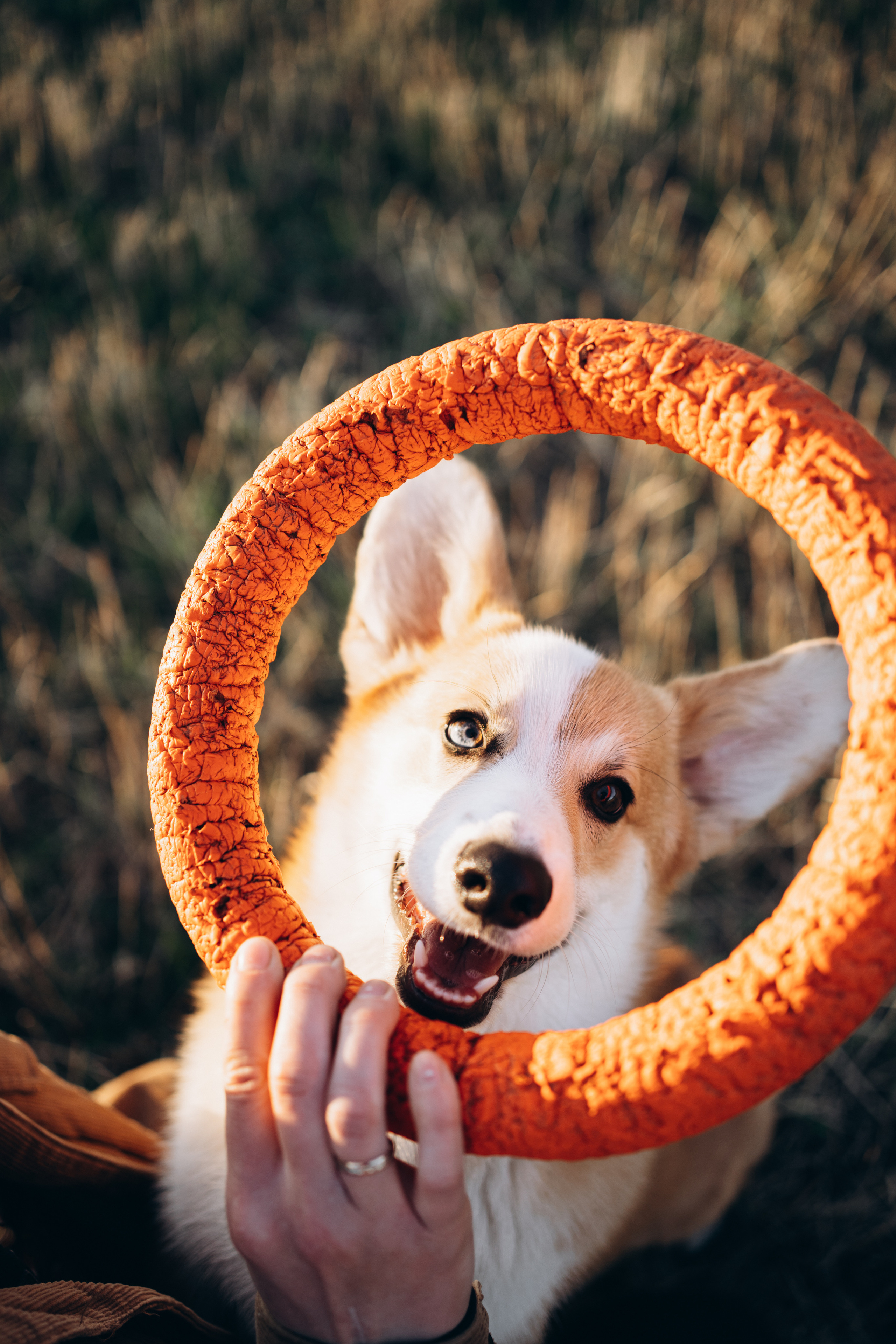 Тако. Фотограф-анималист Анастасия Большакова