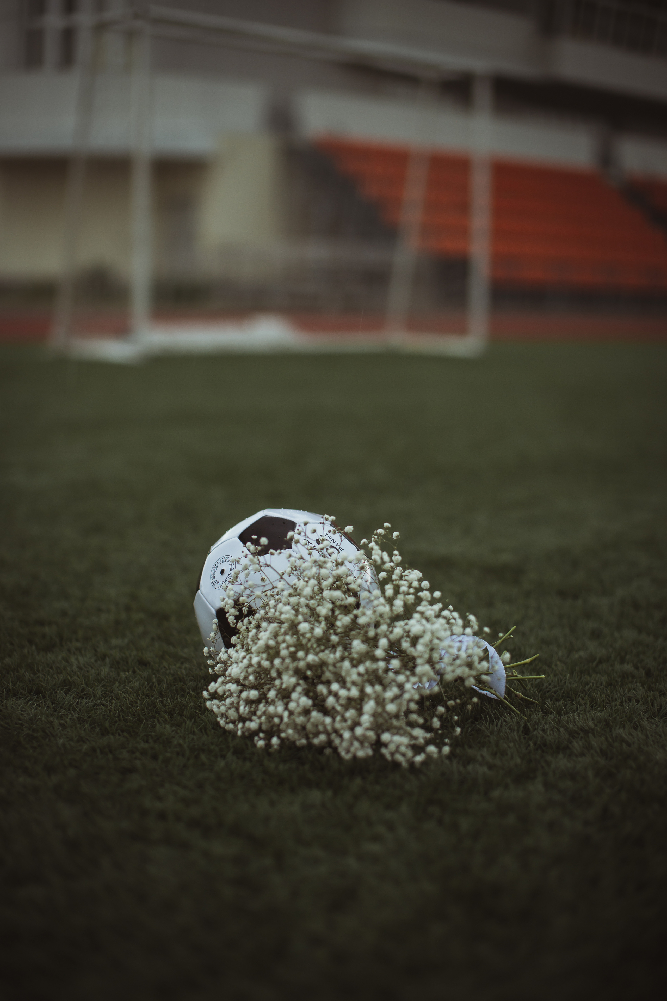 Светлана&Андрей. Фотограф Arina Elatova