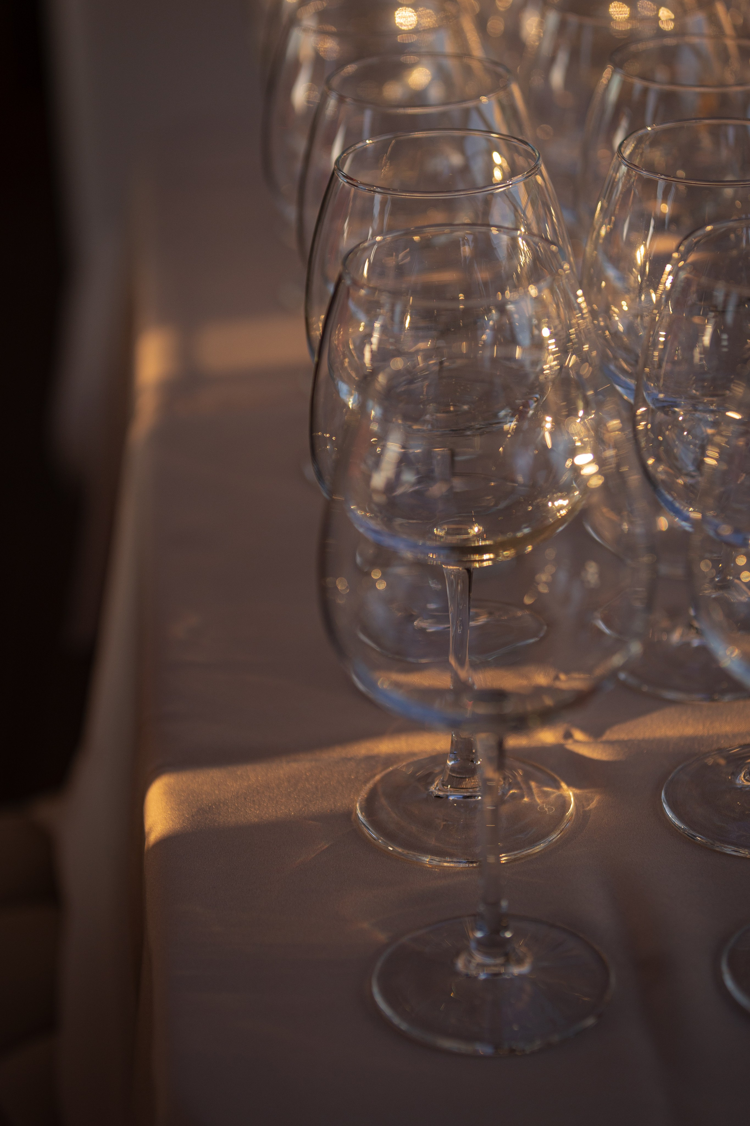 ПМЭФ'24. Ваш фотограф — Александра Андрущенко