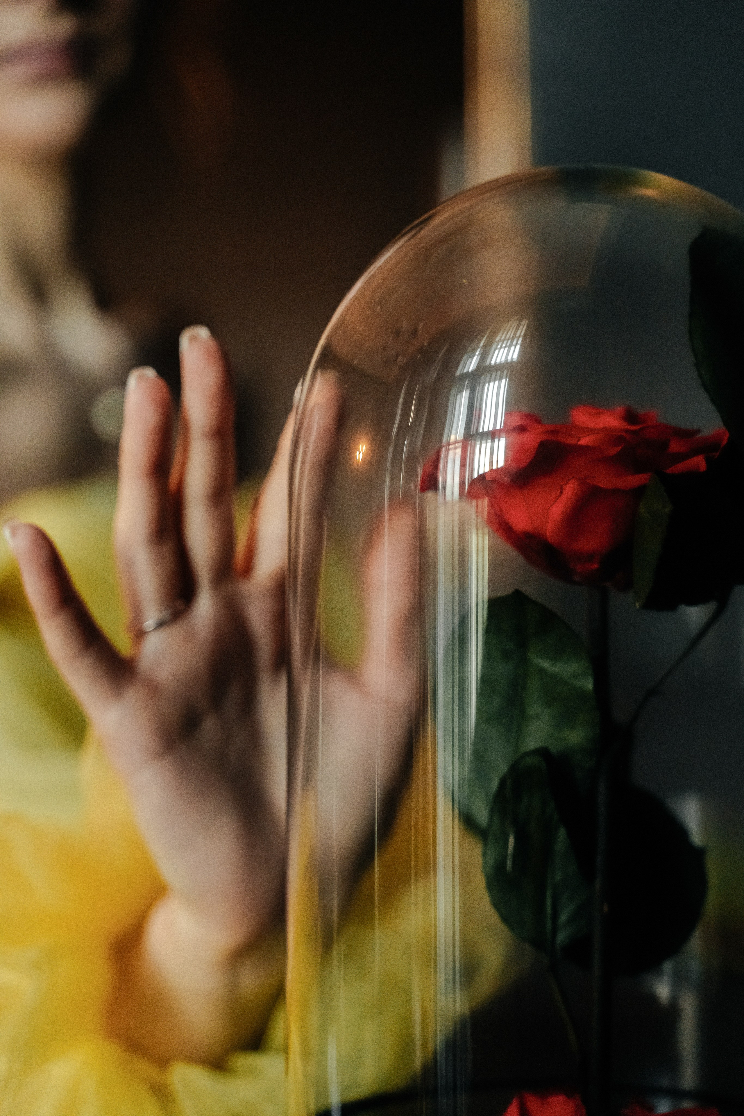 Виолетта и Артём (по мотивам «Красавица и Чудовище»). Свадебный Фотограф Минск || Фото и Видеосъёмка Минск || Другие города