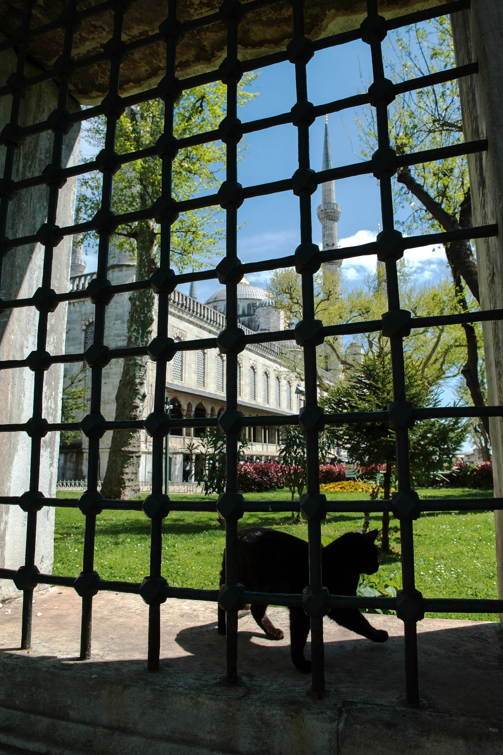 Документальная фотография — проект «Стамбул многоликий» | Дмитрий Тарасов. Репортажный фотограф в Москве — Дмитрий Тарасов | Съёмка мероприятий, концертов, корпоративов