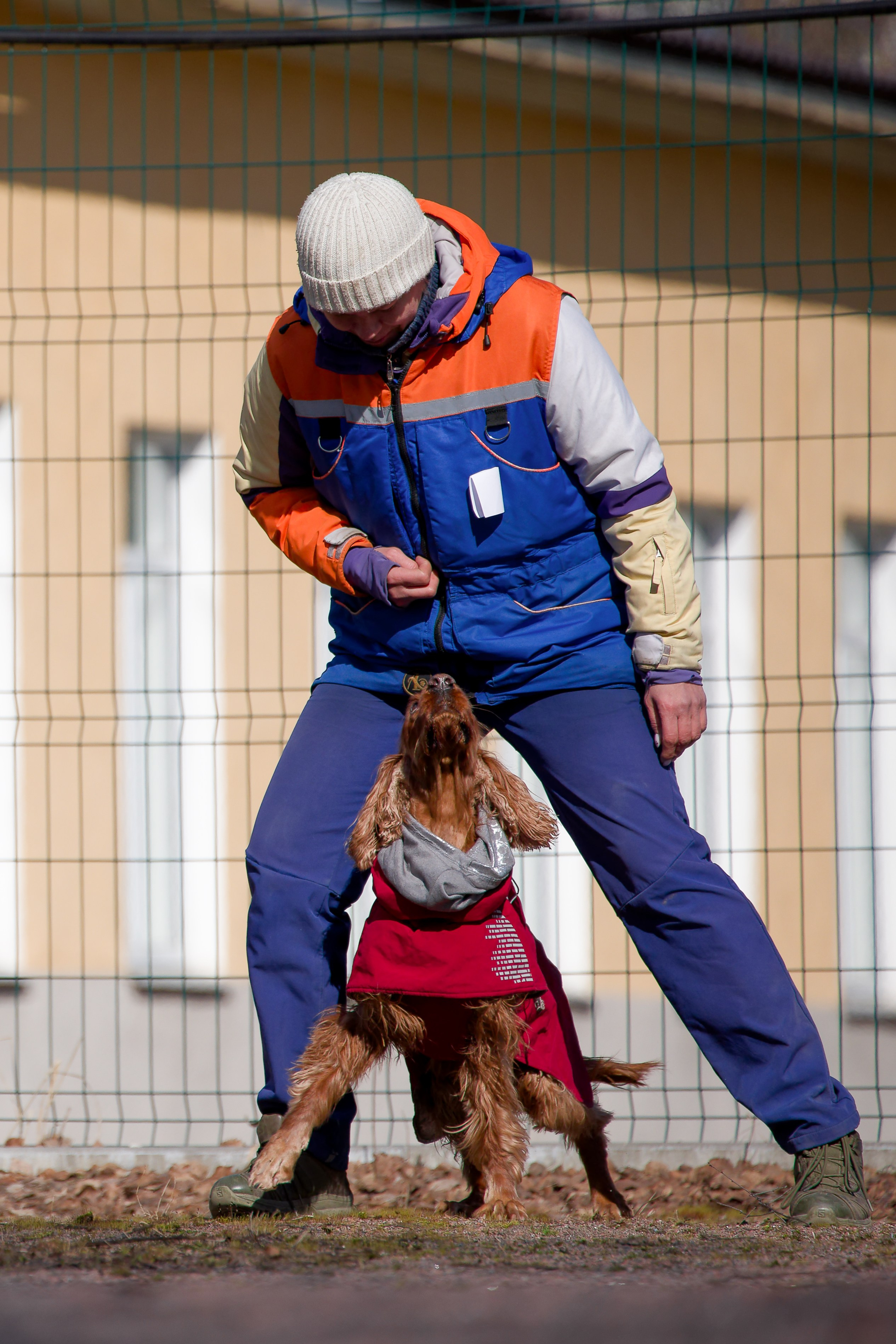 Соревнования «Пошагаем?» от школы дрессировки «Шаги». Irenephoto.ru