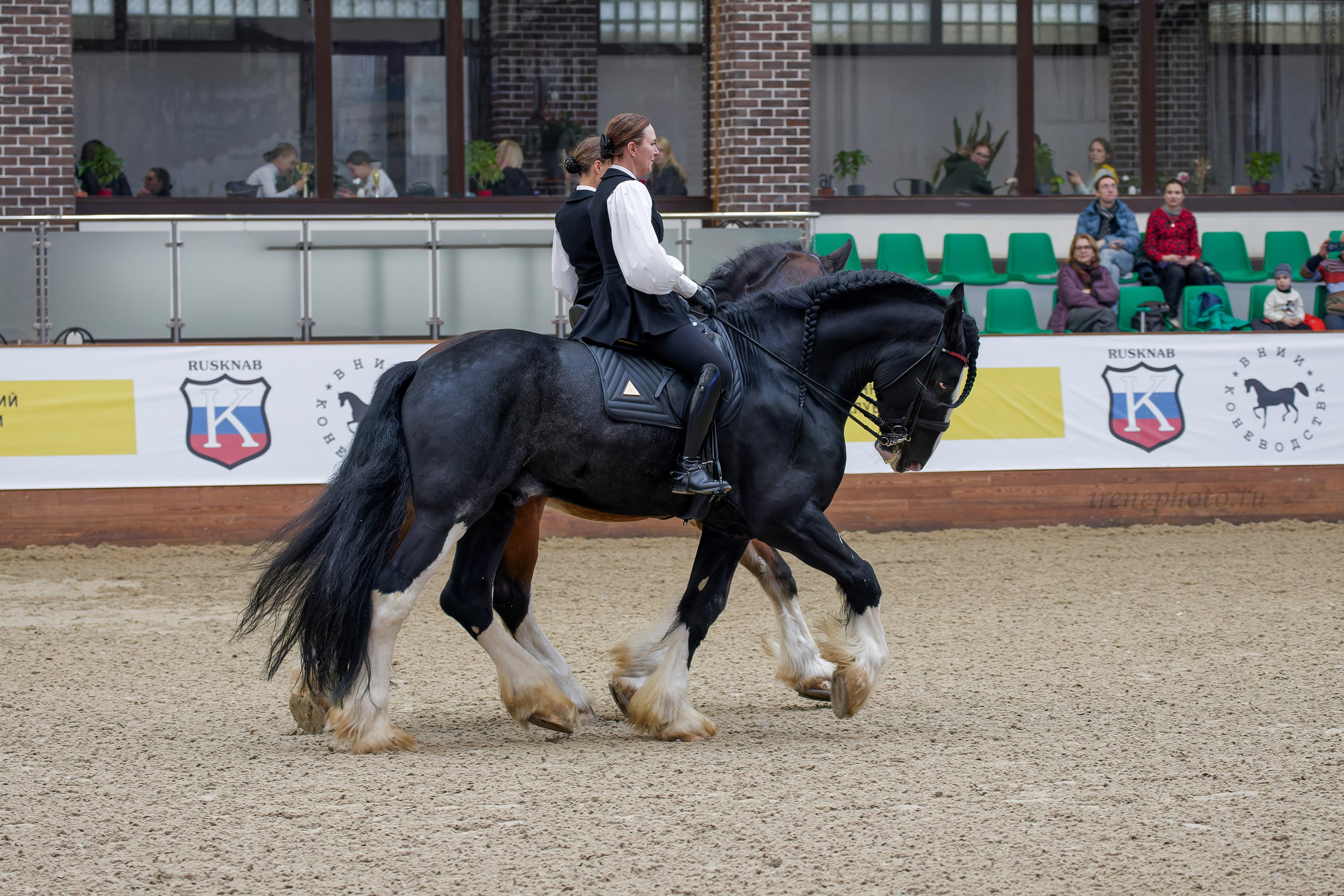 Конная Россия 2024. Irenephoto.ru