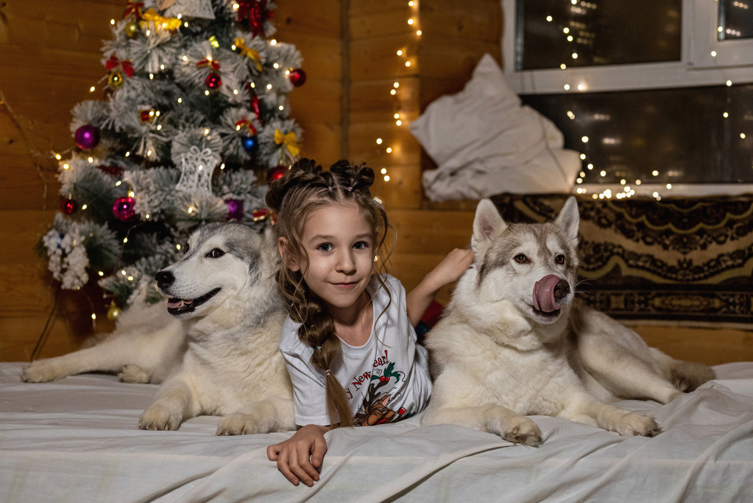 Фотопроект с хаски 2024 г. Фотограф в городе Салават