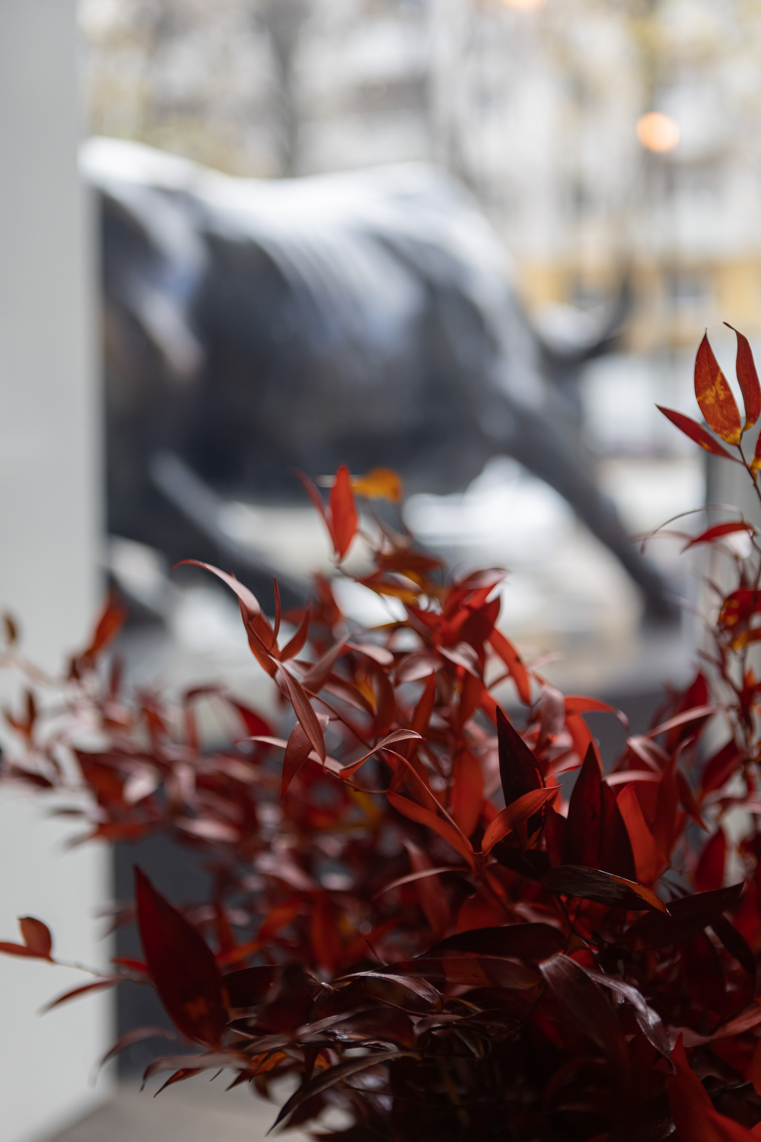 Съёмка юбилея