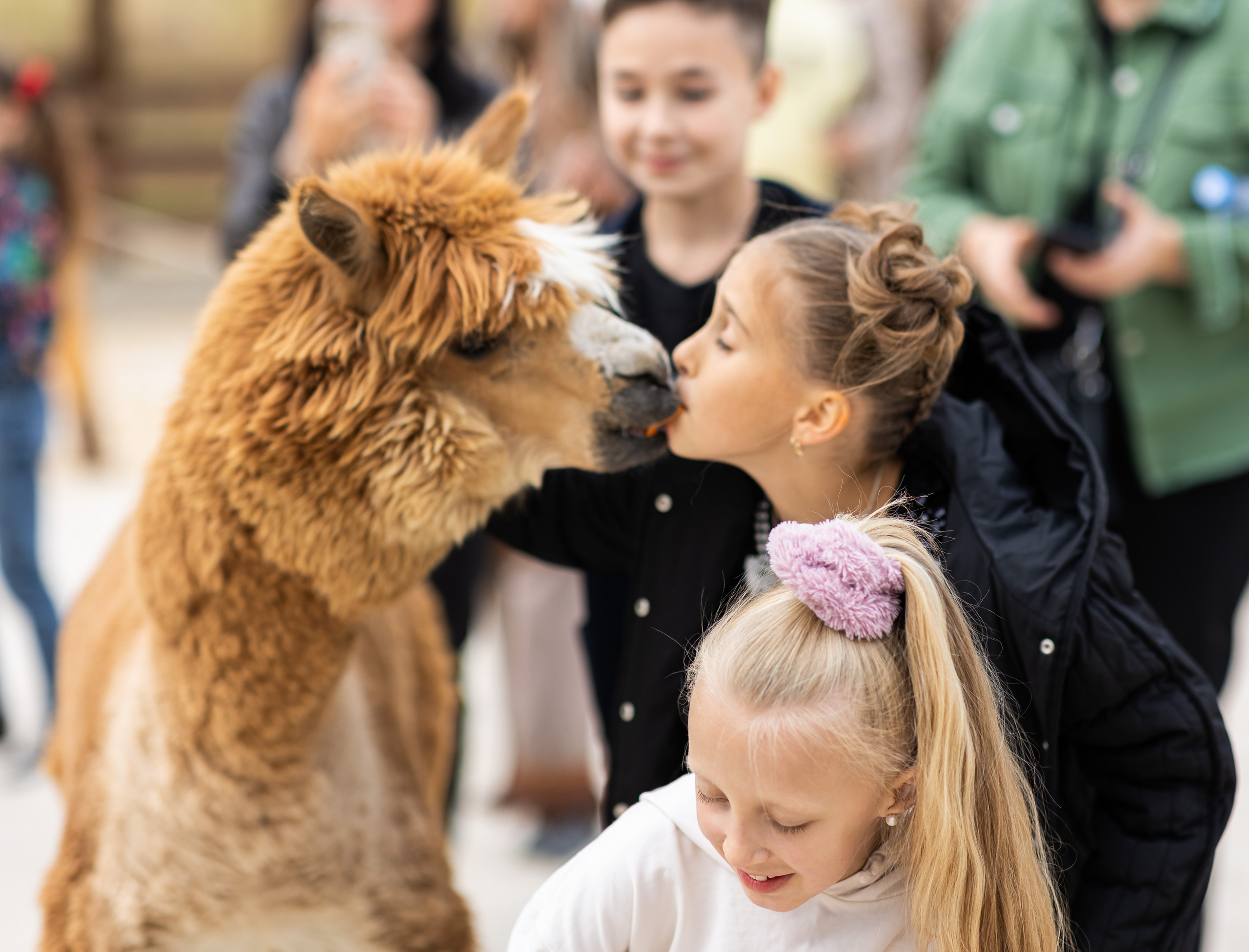 Детский праздник