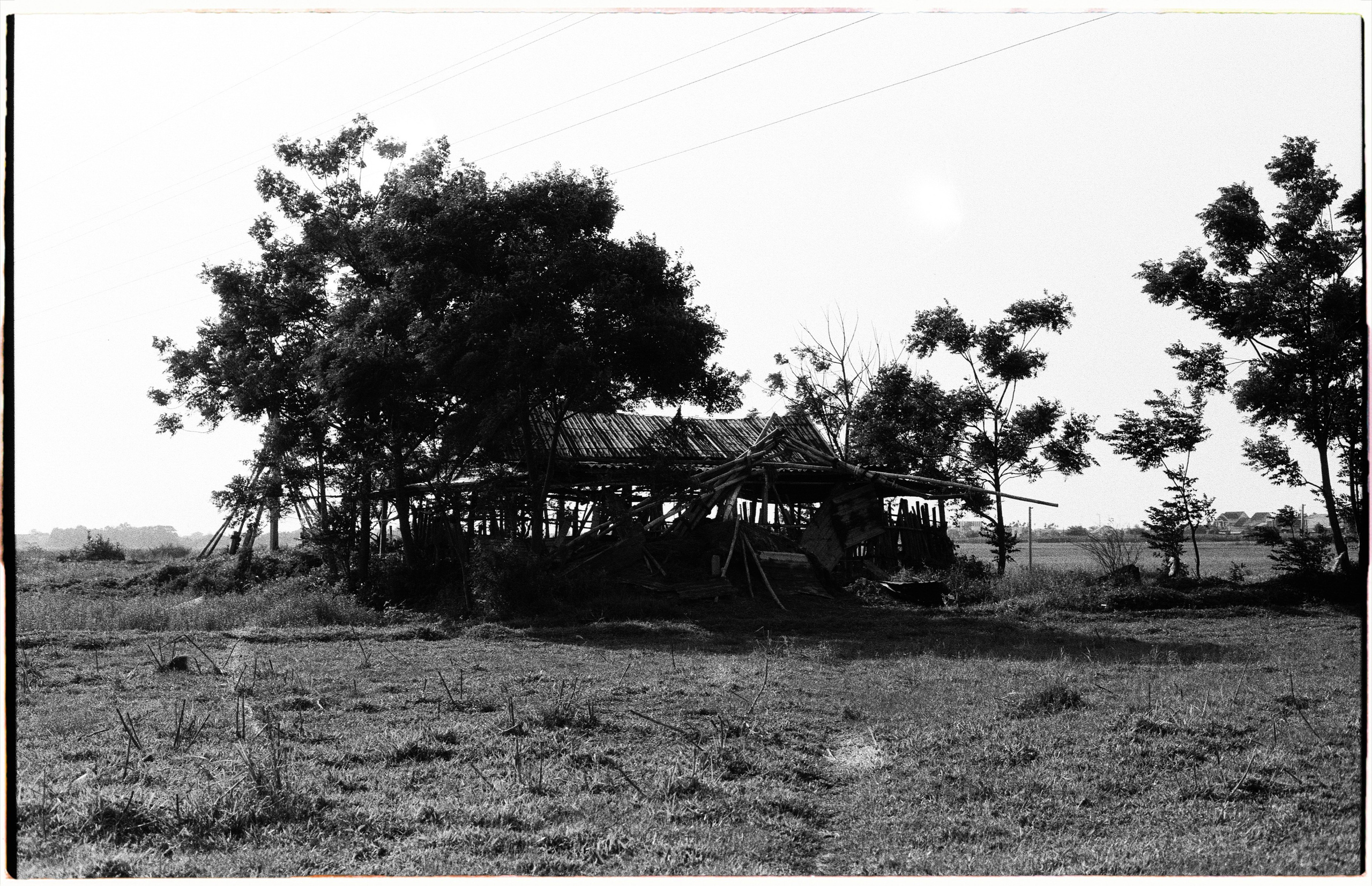 Vietnam «26. Фотограф Полина Треногина