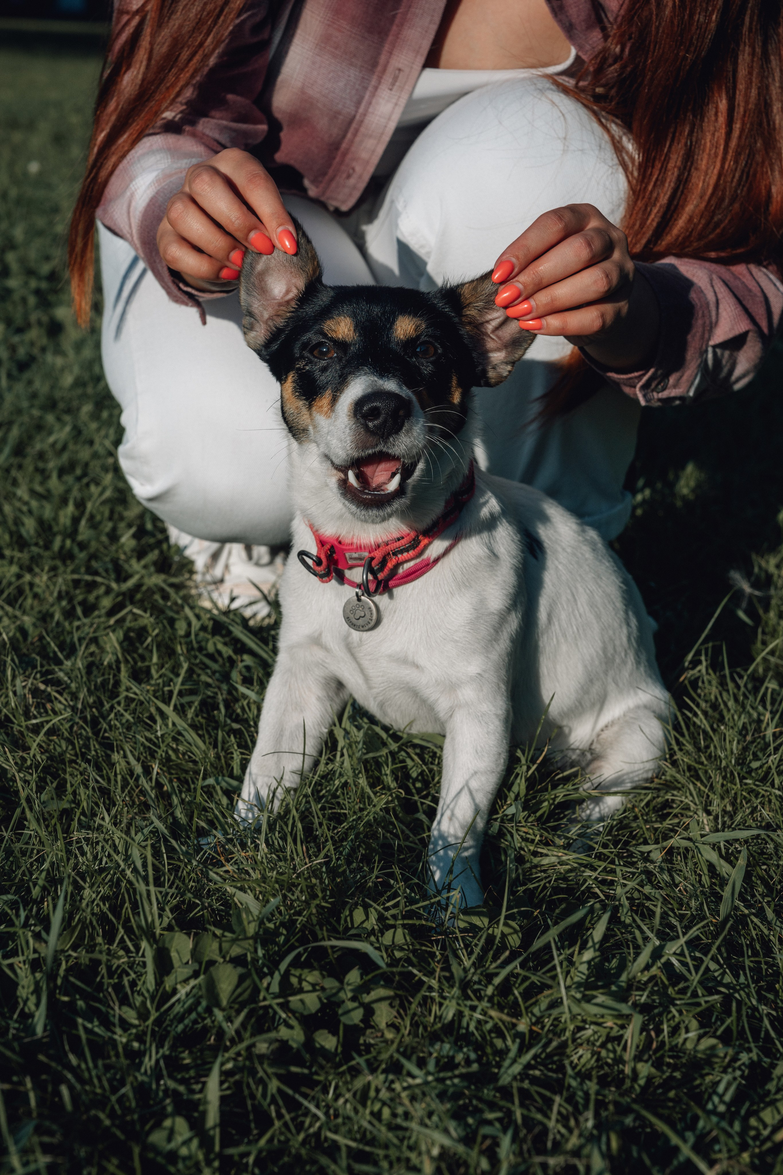Аня и Луна. Фотограф и видеограф в Тюмени Екатерина Чернецкая
