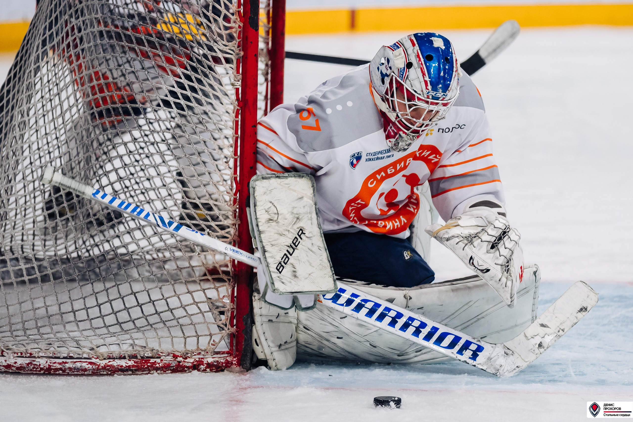 «Стальные сердца» — «СФУ» // 07-08.02.25. Денис Прохоров Фотограф в г. Магнитогорск