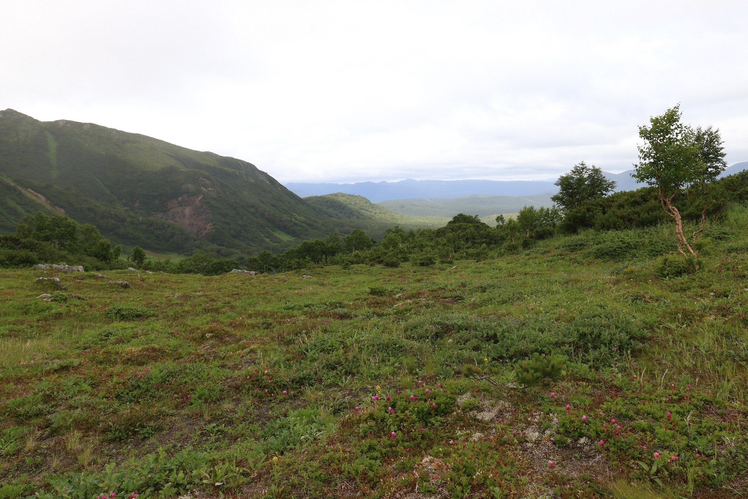 Камчатка и о. Парамушир. Июль 2024. Путешественник-фотограф из Санкт-Петербурга Татьяна Свистулина