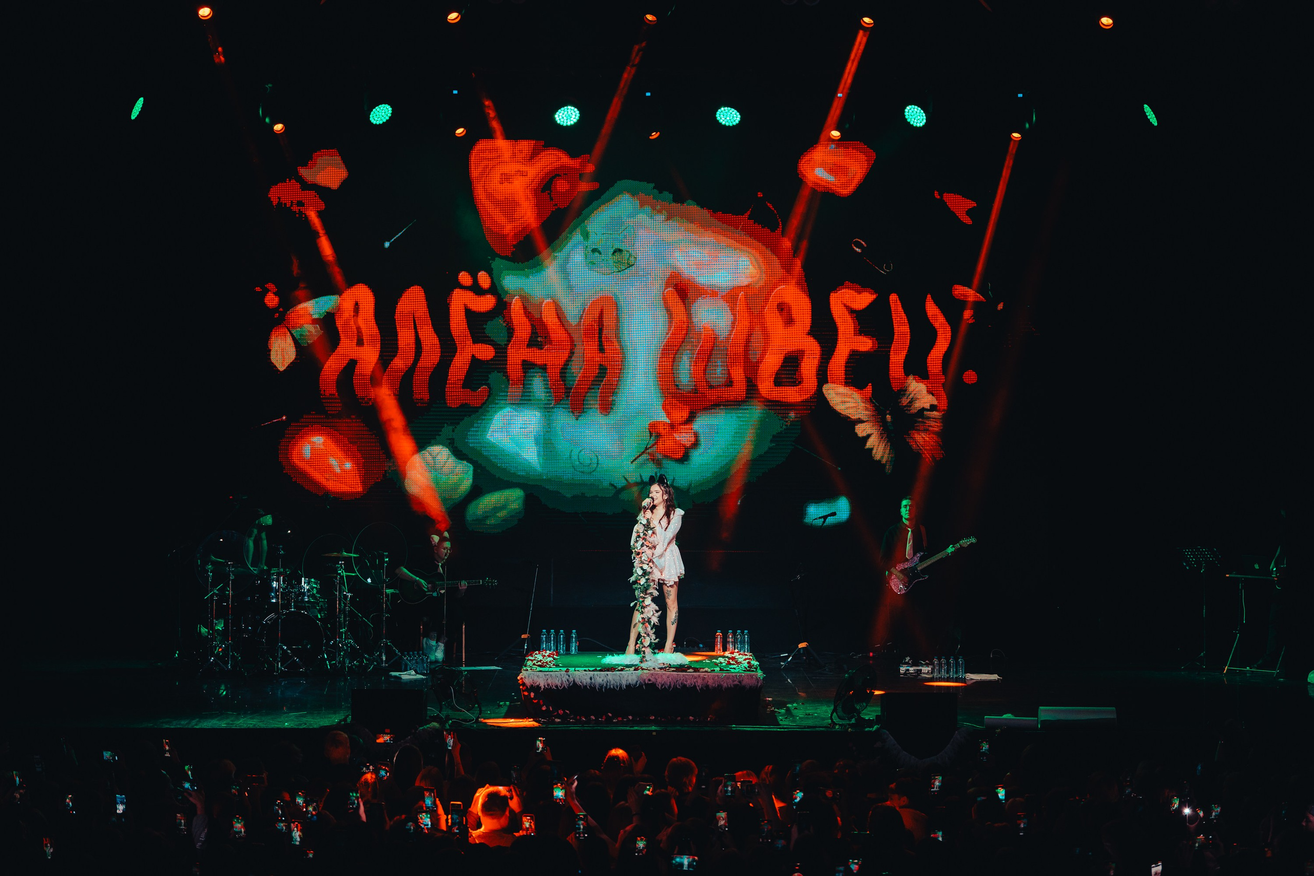 Алена Швец. Магия музыки в кадре: Концертная Фотография