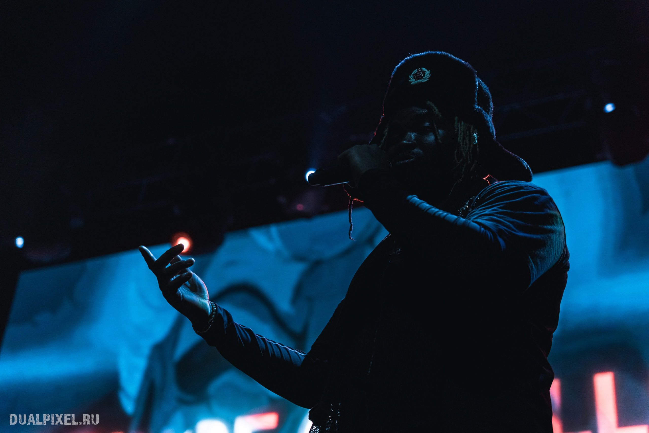 Prince Of Falls. Магия музыки в кадре: Концертная Фотография