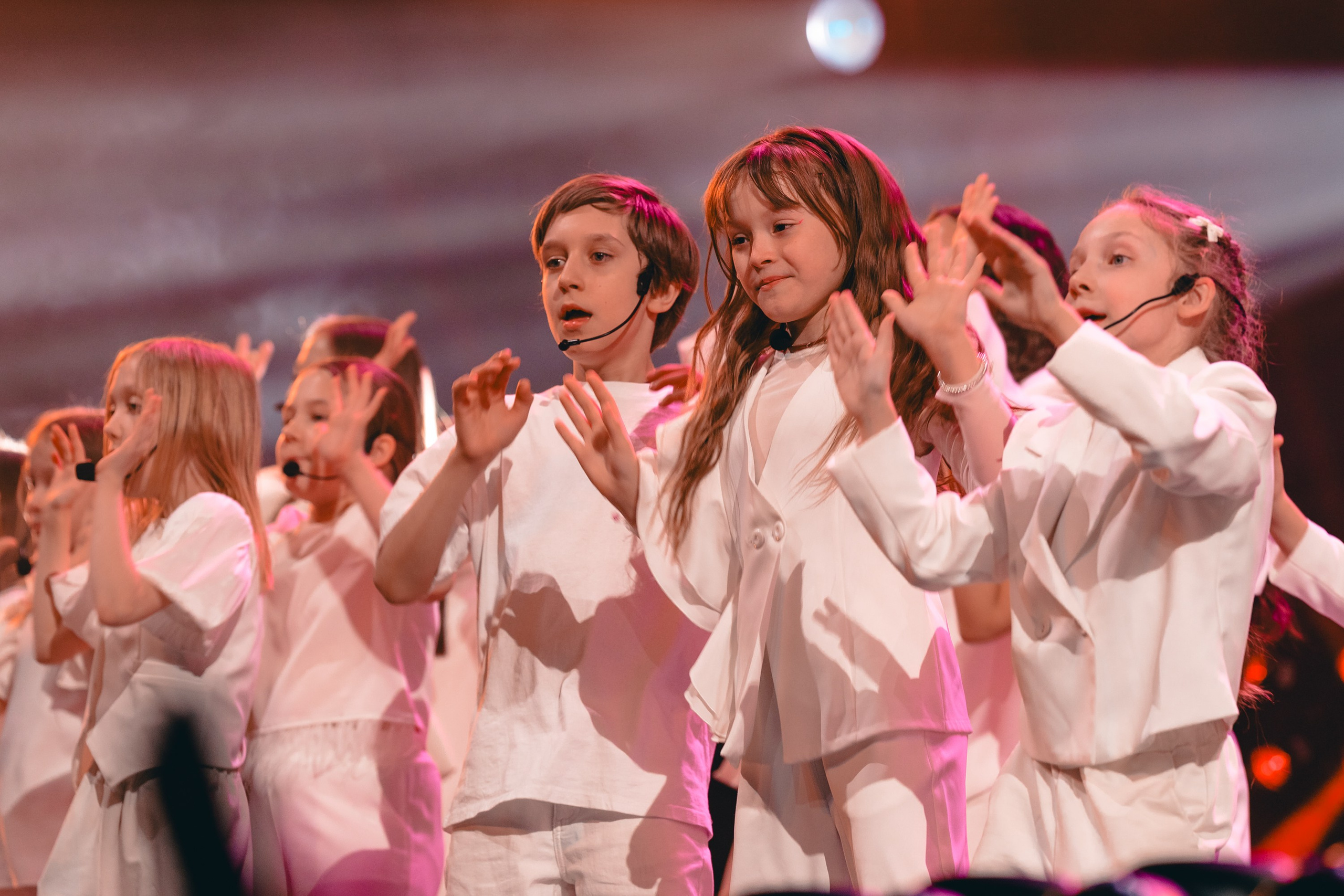 Владимир Пресняков. Магия музыки в кадре: Концертная Фотография