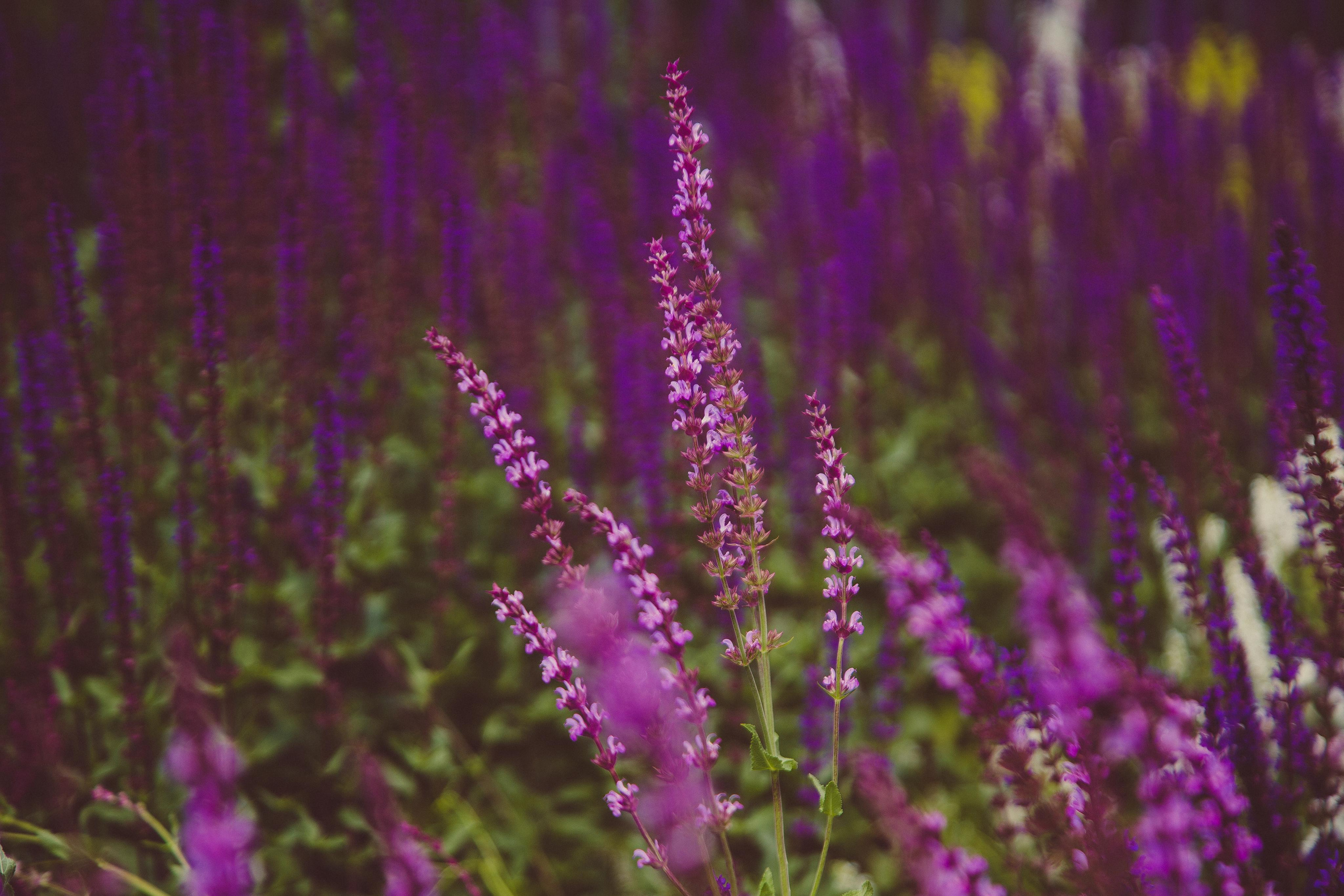 Коллекция пейзажных фотографий. Photographer Sonkina Tatiana (Tanya Ash)