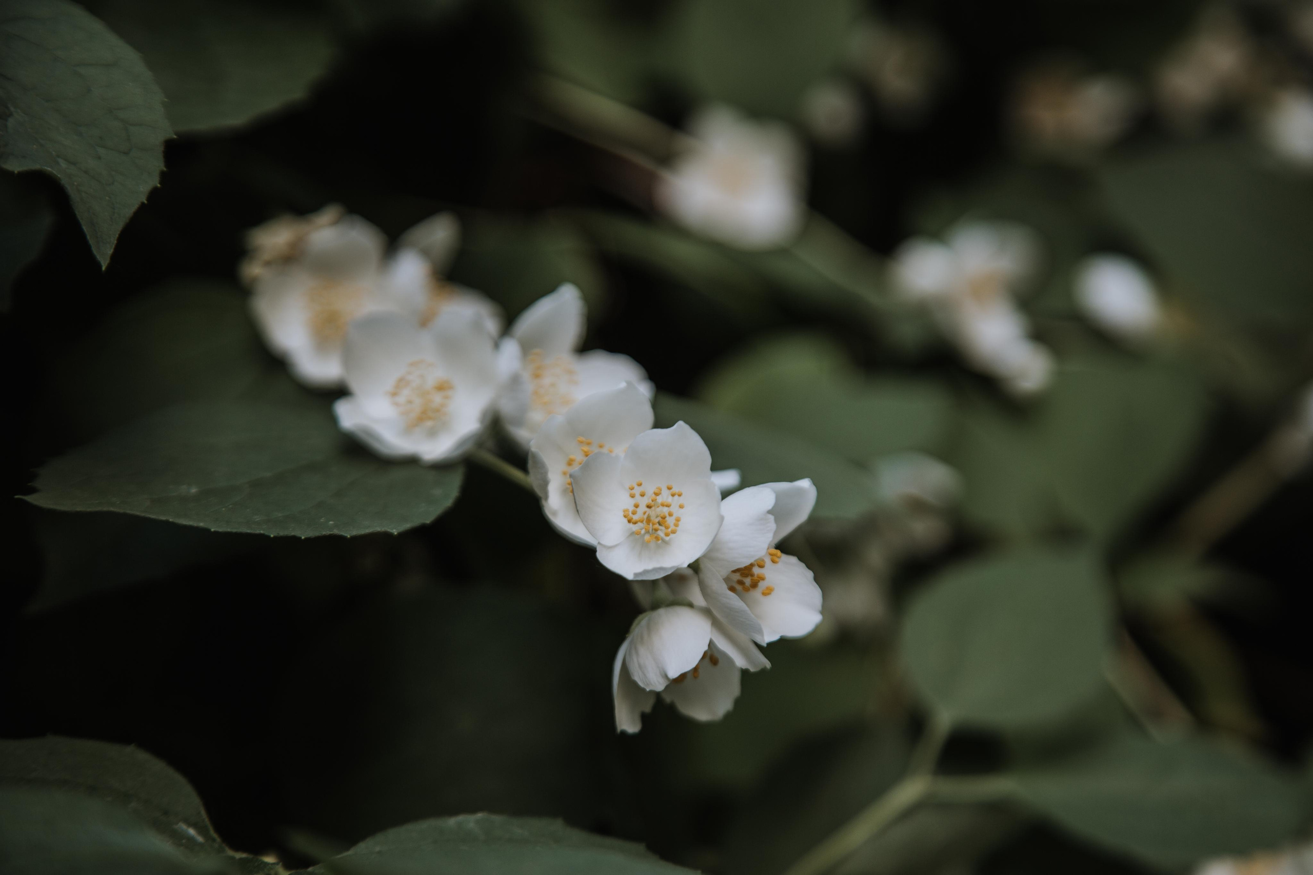 Коллекция пейзажных фотографий. Photographer Sonkina Tatiana (Tanya Ash)