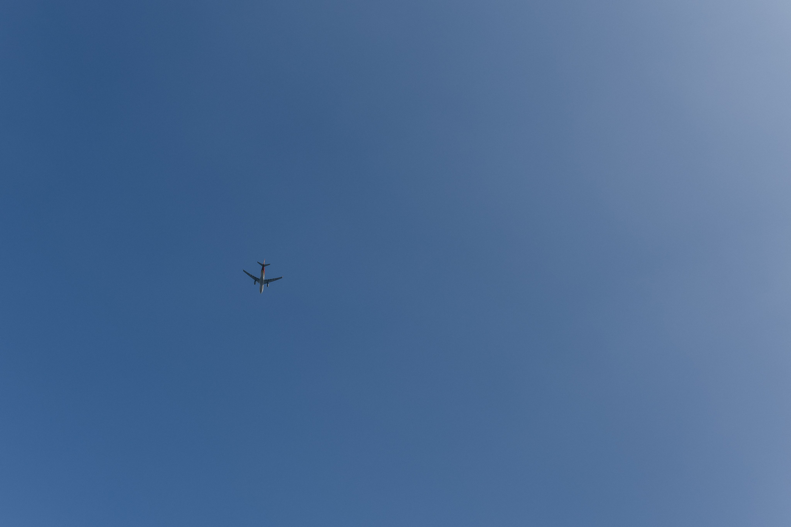 Валериан и Алина. Фотограф в Томске Ирина Павлуцкая