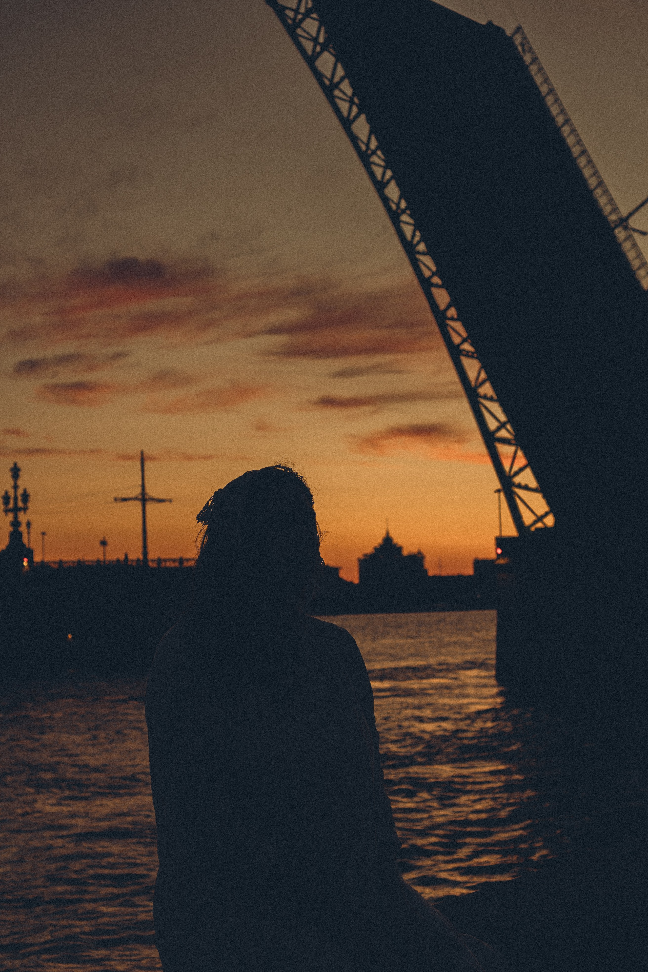 РАССВЕТ С РАЗВОДНЫМИ МОСТАМИ. Профессиональный фотограф, Санкт-Петербург — Виктория Богомолова