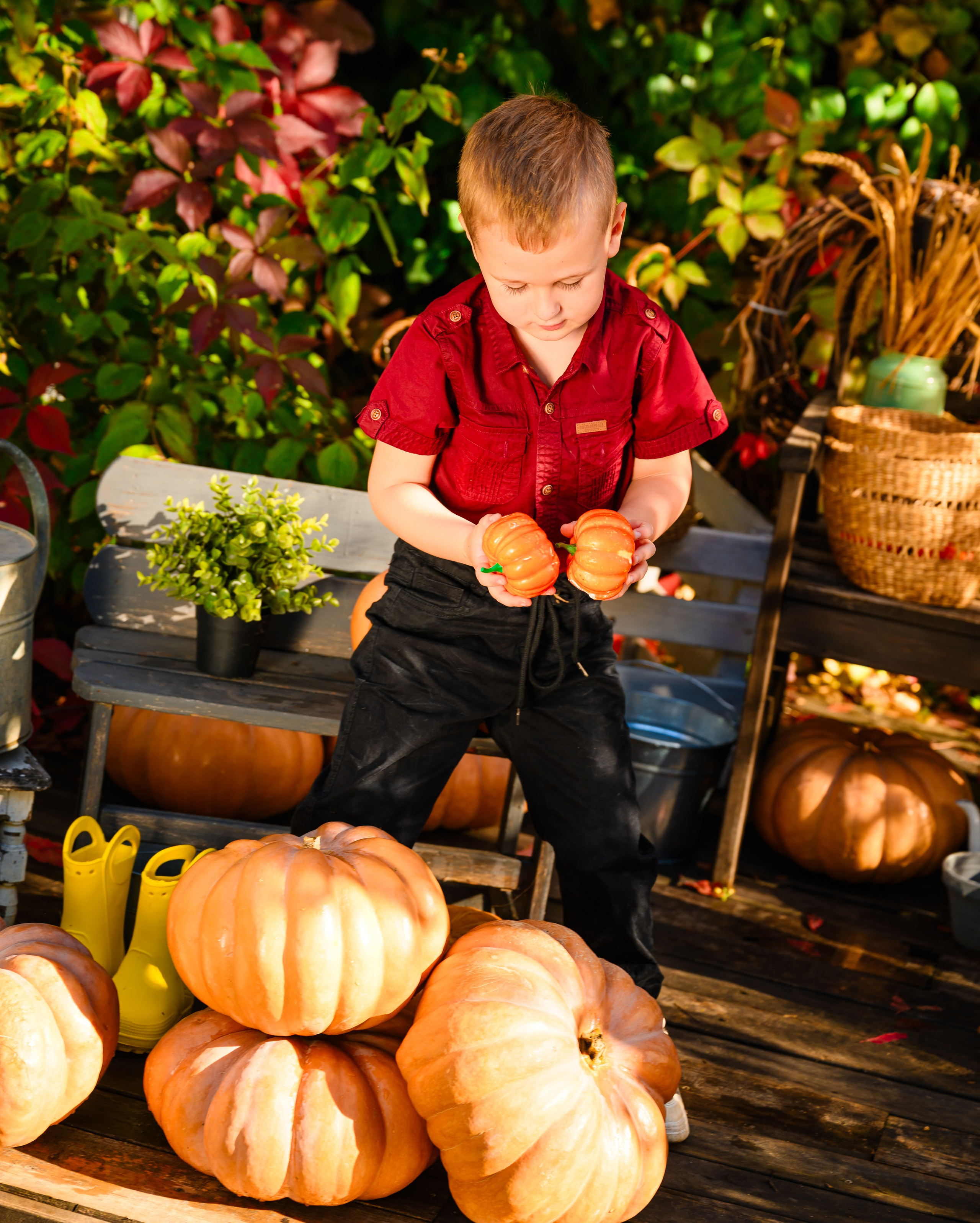 Семейные и детские фотосессии. Студийный и свадебный фотограф и видеограф в Севастополе — Юлия Макаренко