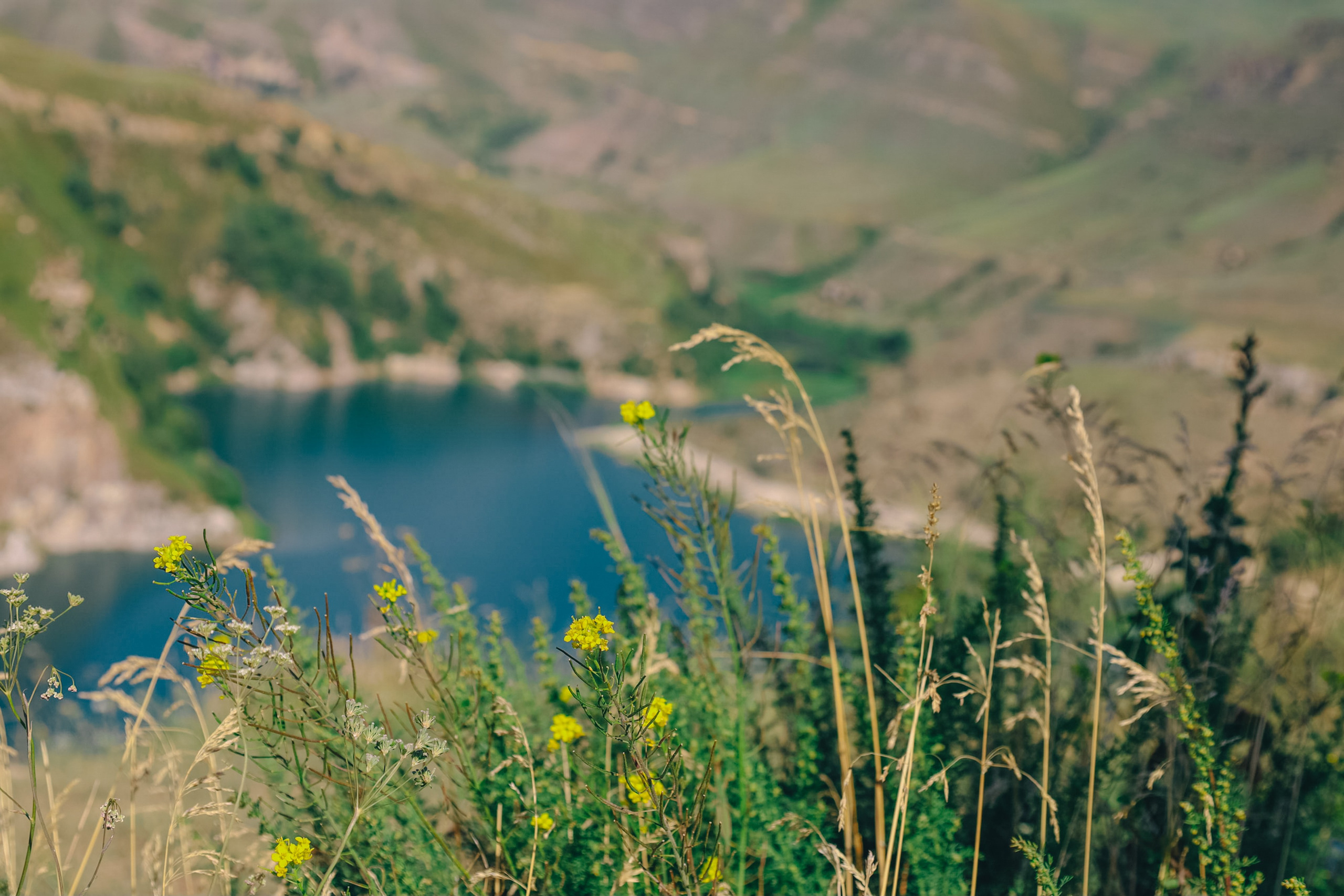 Приэльбрусье 22 — 23 июля 2023. Фотограф katya_vkadre Таганрог